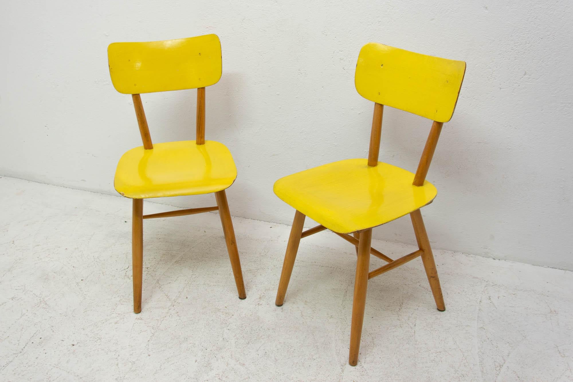 Pair of Midcentury Dining Chairs TON, 1960s, Czechoslovakia In Good Condition In Prague 8, CZ