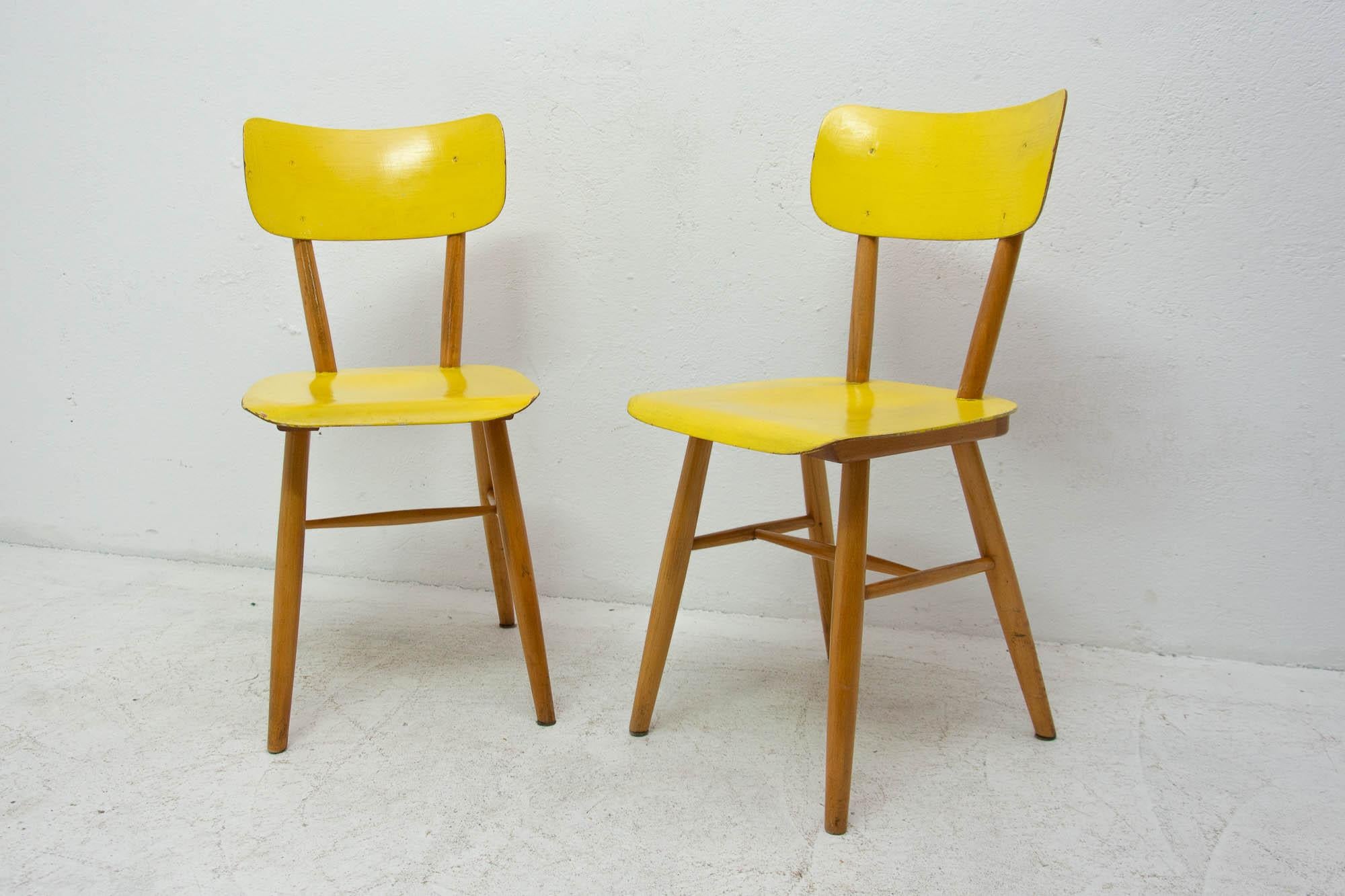 20th Century Pair of Midcentury Dining Chairs TON, 1960s, Czechoslovakia