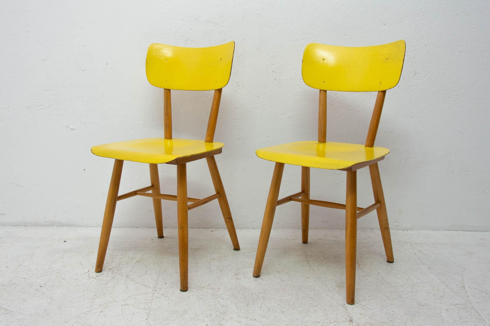 Bentwood Pair of Midcentury Dining Chairs TON, 1960s, Czechoslovakia