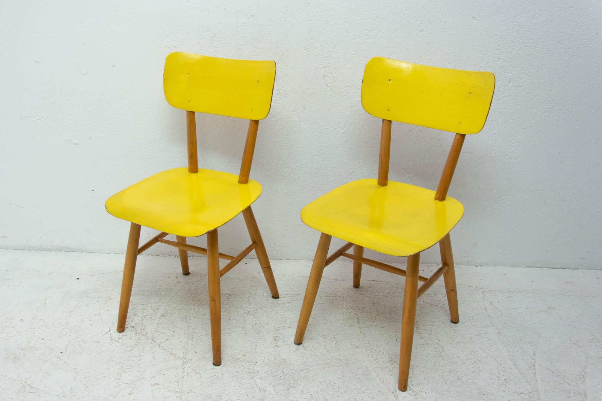 Pair of Midcentury Dining Chairs TON, 1960s, Czechoslovakia 1