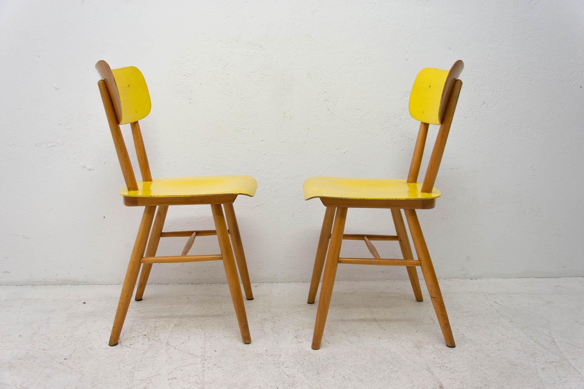 Pair of Midcentury Dining Chairs TON, 1960s, Czechoslovakia 2