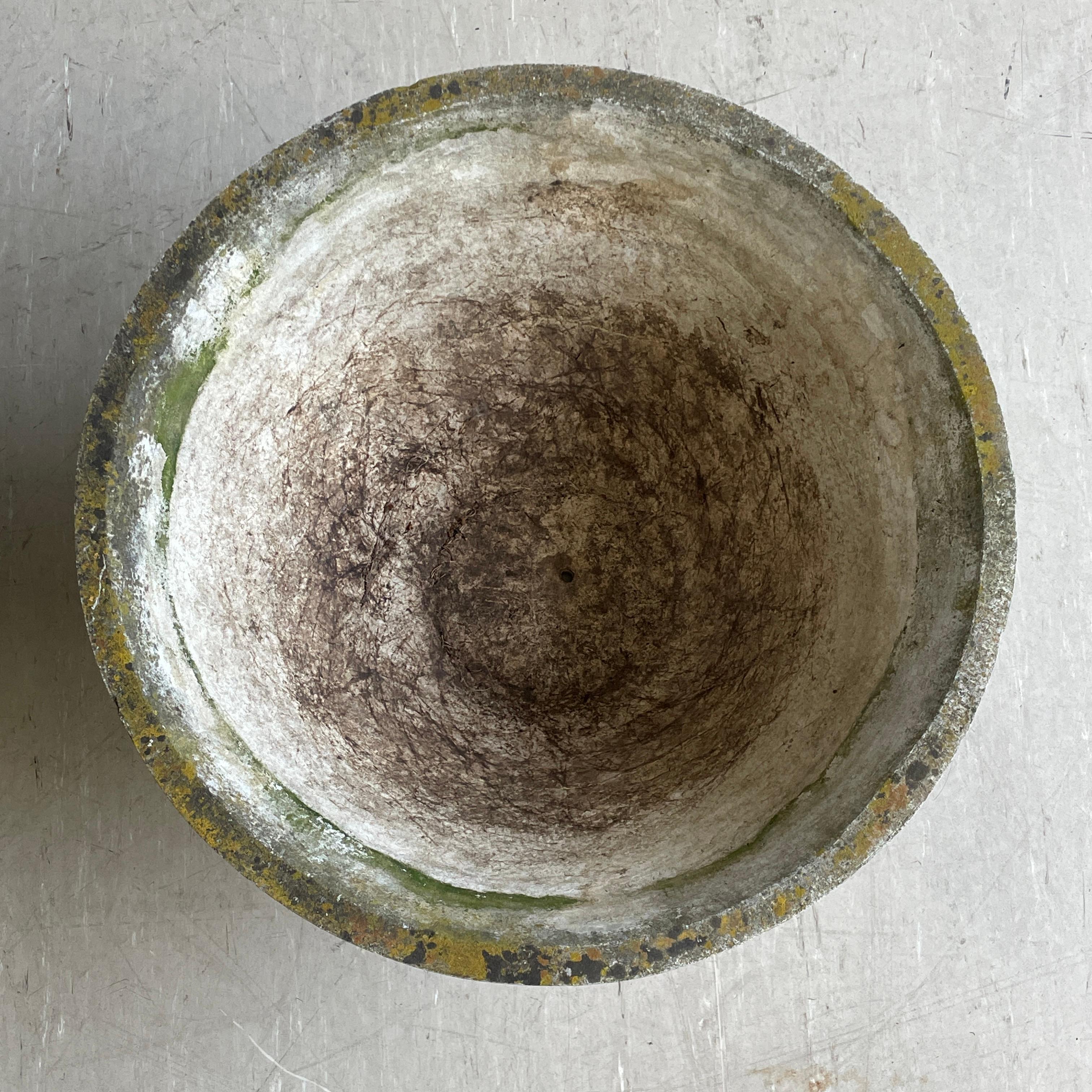 Pair of Mid Century Eternit Conical Planters by Willy Guhl For Sale 7
