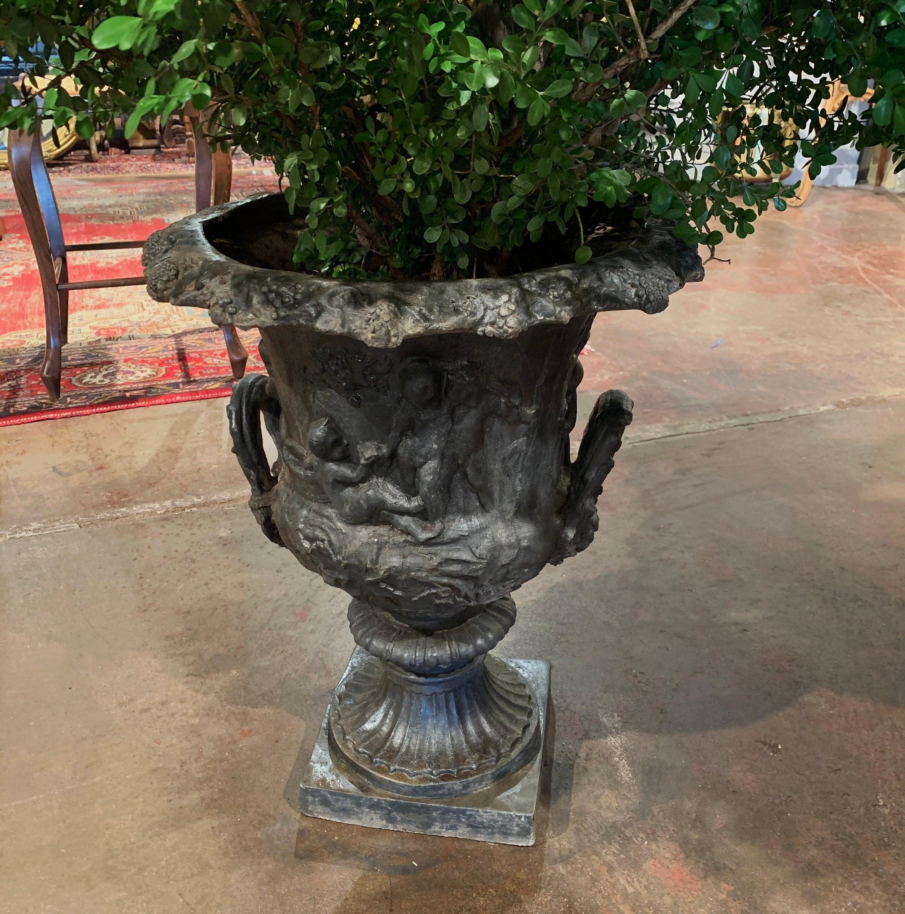 20th Century Pair of Midcentury French Carved Lead Outdoor Medicis Planters For Sale