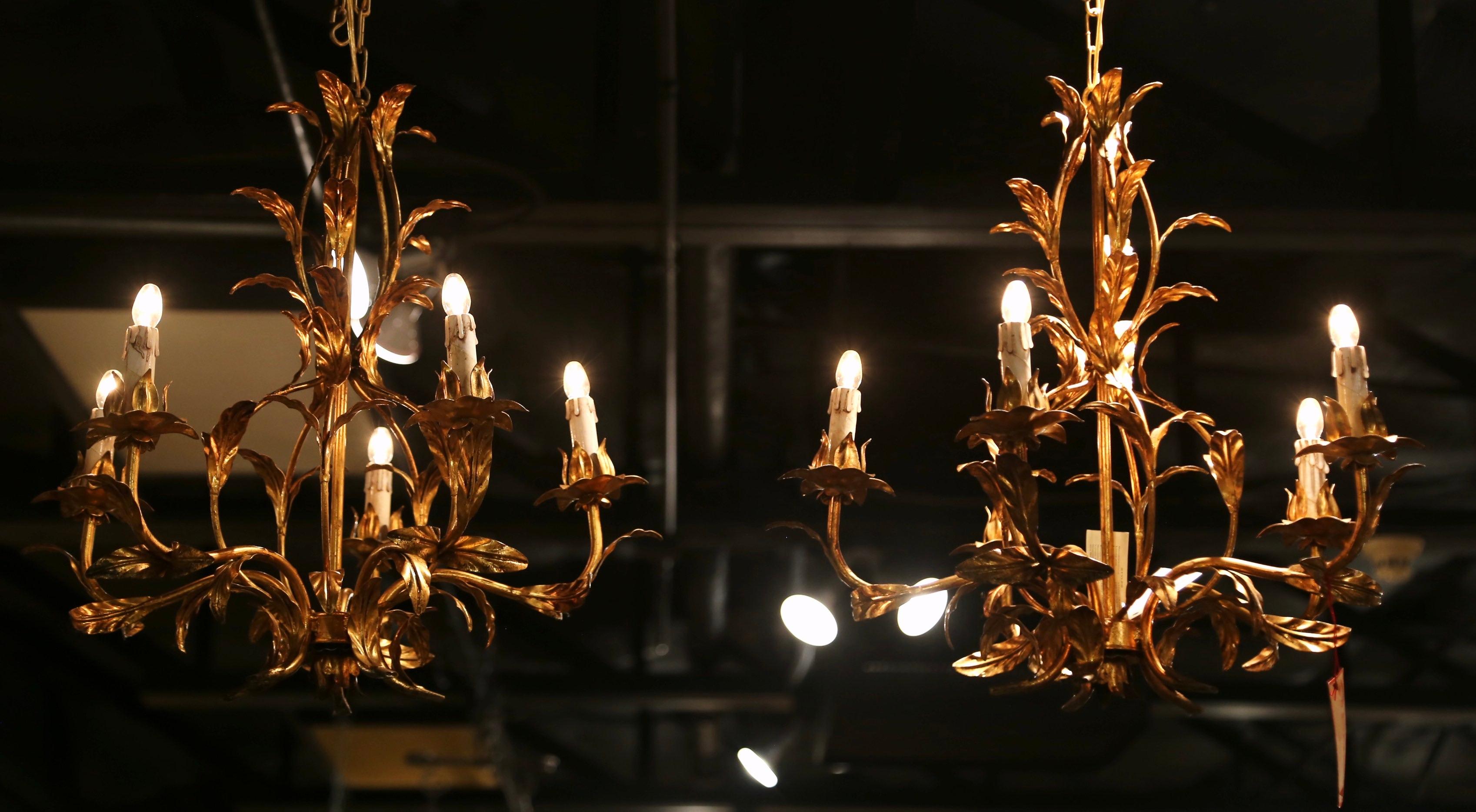 Pair of Mid-Century French Gilt Metal Six-Light Chandeliers with Leaf Motifs 1