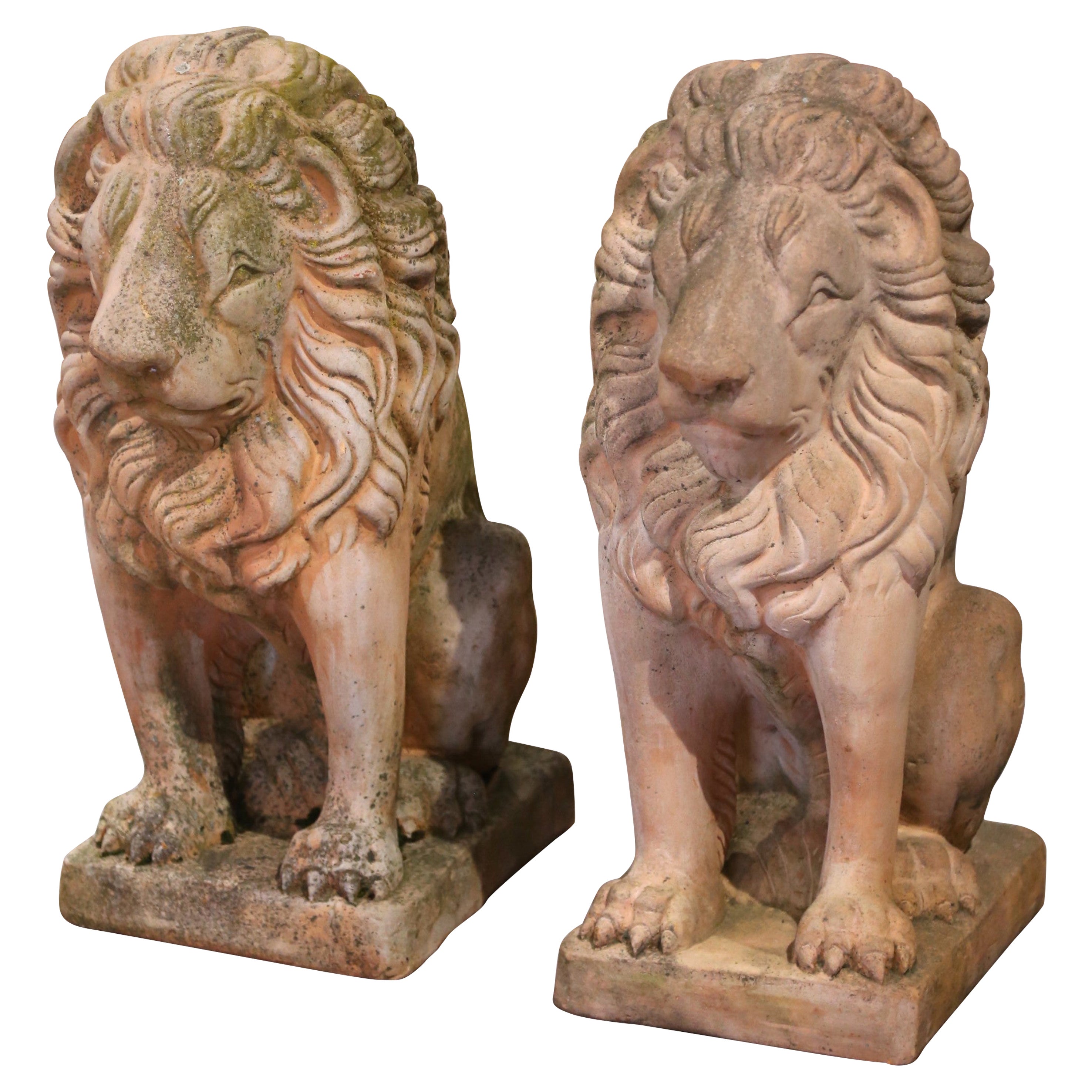 Coppia di sculture di leone in pietra scolpita per esterni francesi della metà del secolo scorso