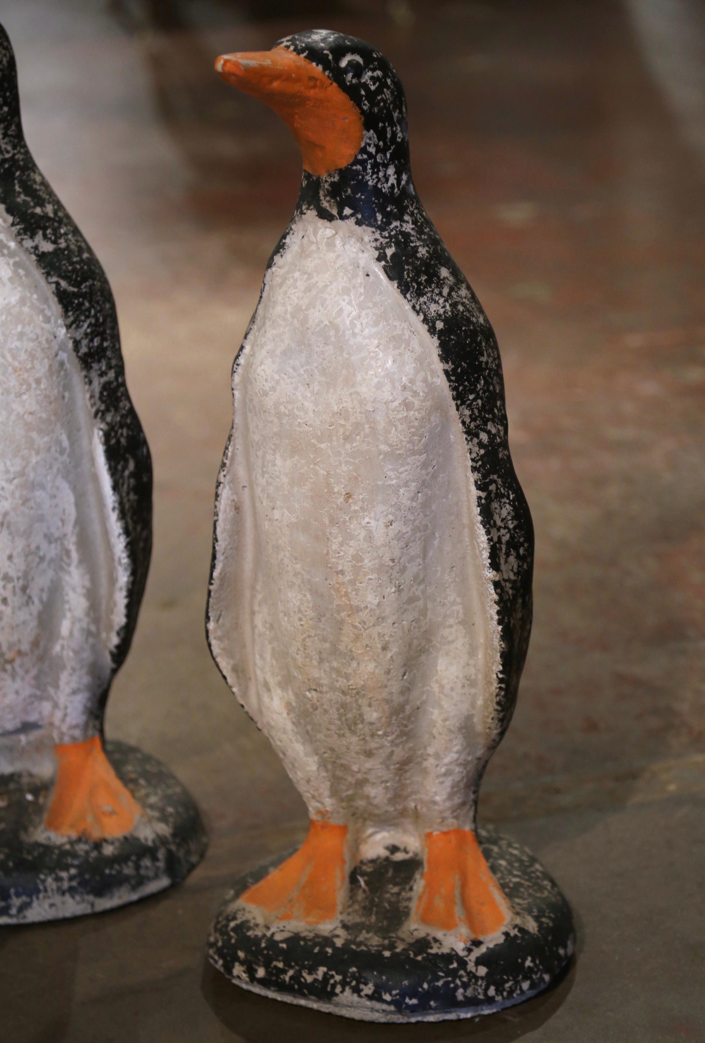 sal penguin