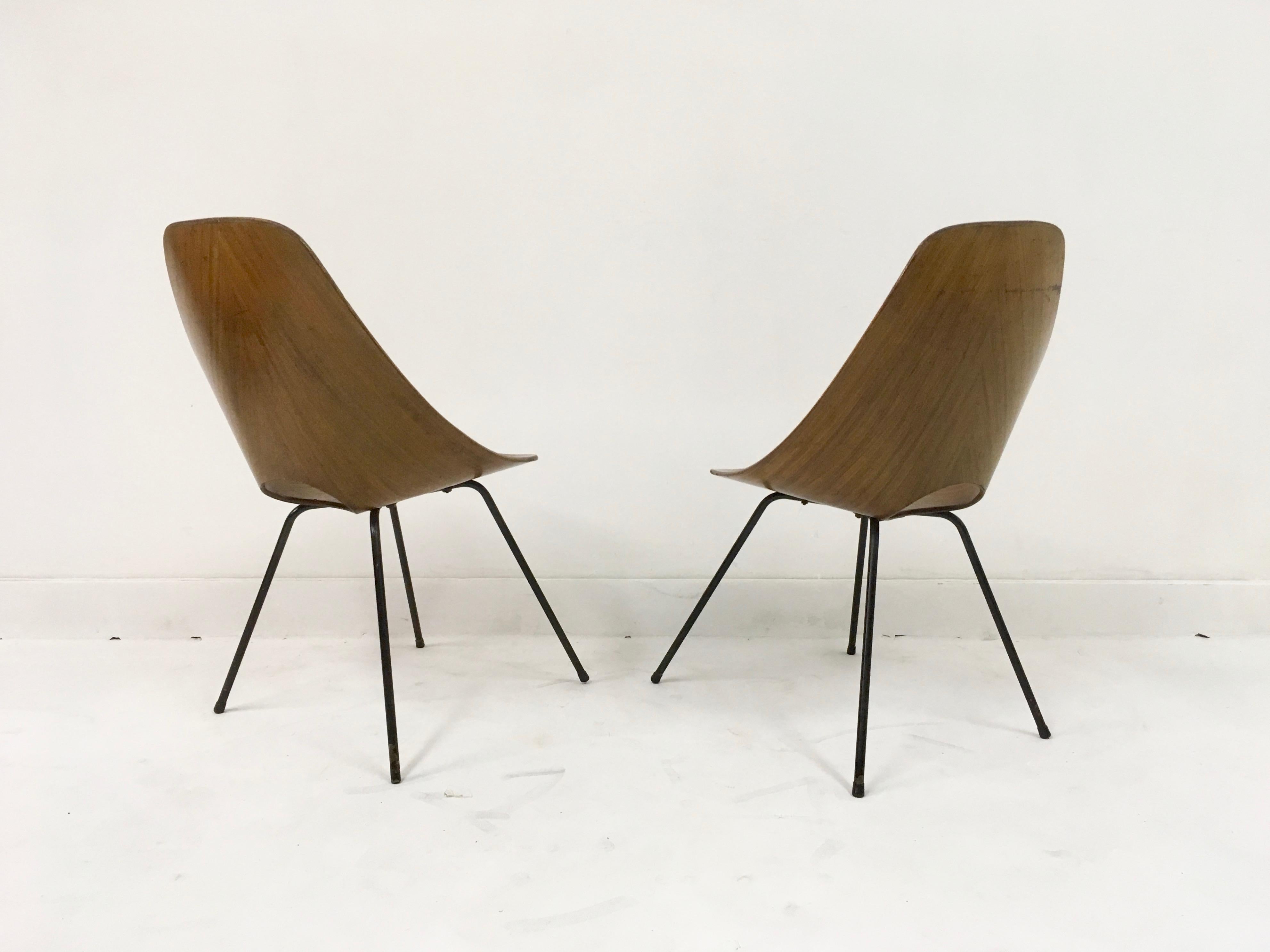 Pair of Midcentury Italian Medea plywood chairs by Nobili, 1950s 2