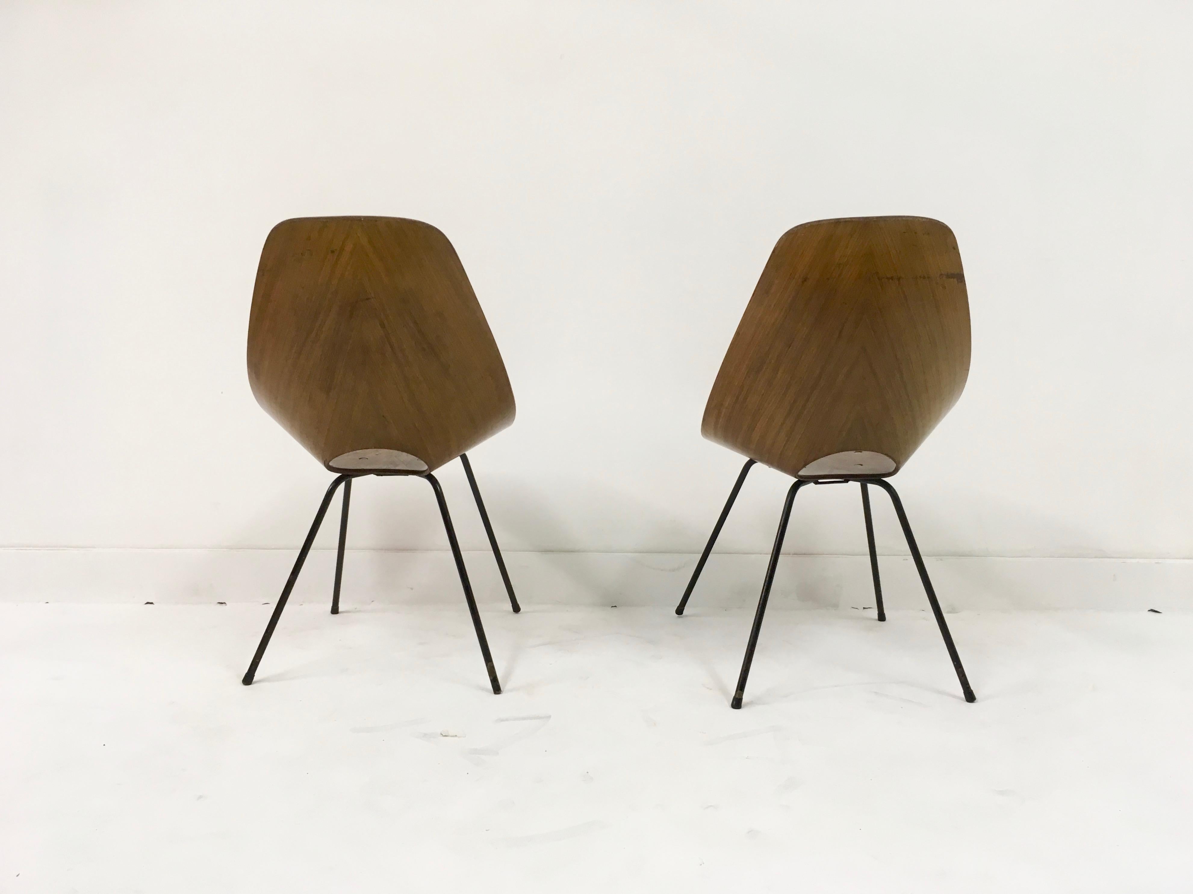 Pair of Midcentury Italian Medea plywood chairs by Nobili, 1950s 3
