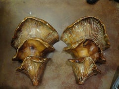 Coppia di lampade organiche in legno intagliato del Medioevo italiano