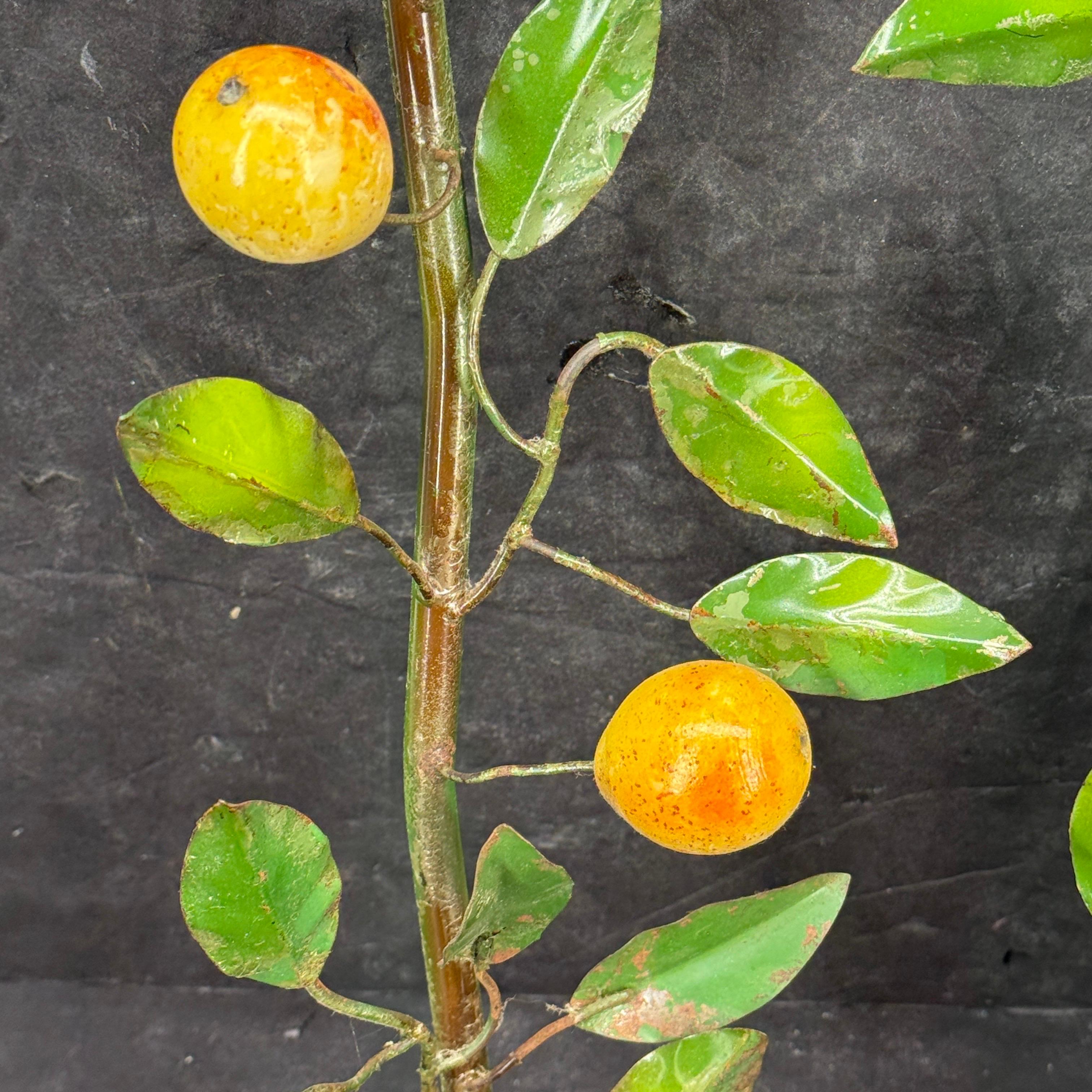 Pair of Mid-Century Italian Pear Fruit Metal Candle Wall Sconces en vente 2