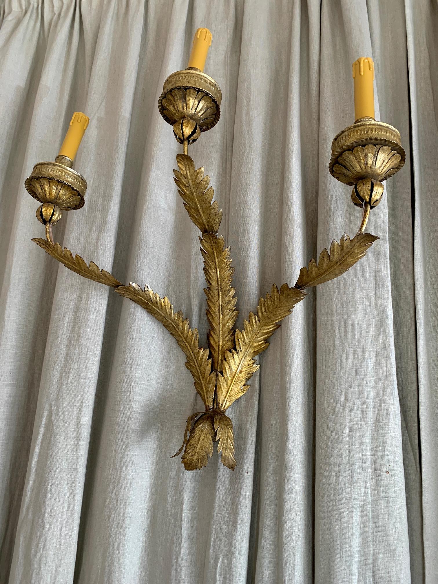 Pair of large Spanish wall lights, circa 1940 in gilt iron imitating plant motifs in each of its three arms, it has been electified for use, new and operational electrical installation.
