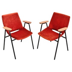 Pair of Mid Century "Lupina" chairs by Niko Kralj for Stol Kamnik, 1956