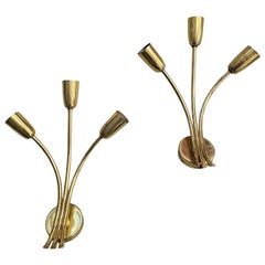 Pair of Mid Century Modern Brass Sconces attr. to J.T. Kalmar, Austria 1950s