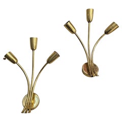 Paar Mid Century Modern Brass Sconces attr. to J.T. Kalmar, Österreich 1950er Jahre