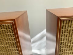 Coppia di altoparlanti stereo Electro Voice moderni della metà del secolo scorso