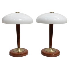 Antique Pair of Mid Century Modern Frosted Shade Table Lamps