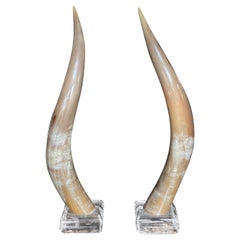 Pair of Mid-Century Modern Horns on Lucite Base