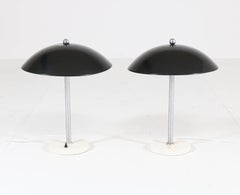 Pair of Mid-Century Modern Table Lamps by Wim Rietveld for Gispen, 1950s