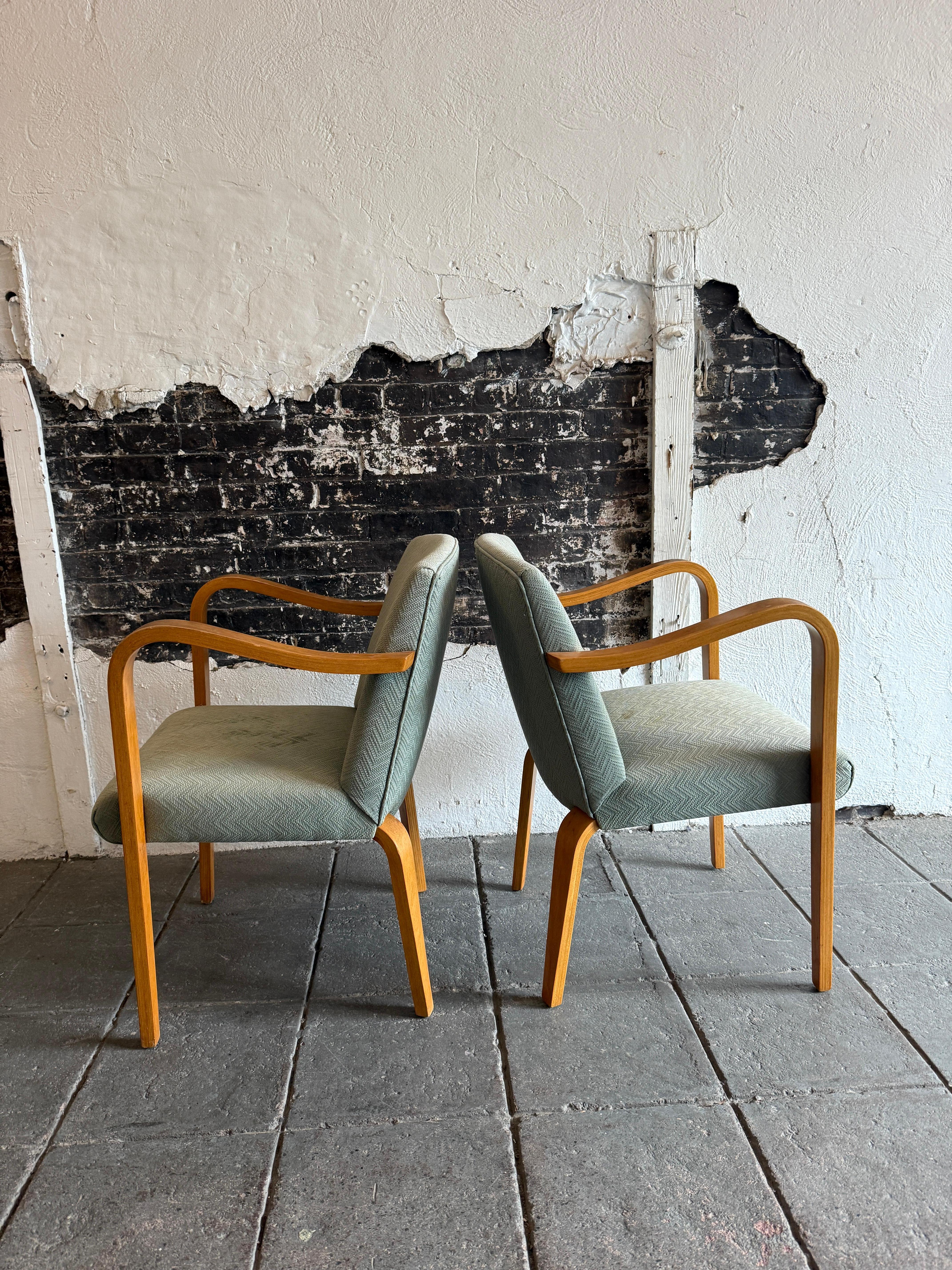 Pareja de sillones Thonet de madera curvada de abedul, modernos de mediados de siglo Moderno de mediados de siglo en venta