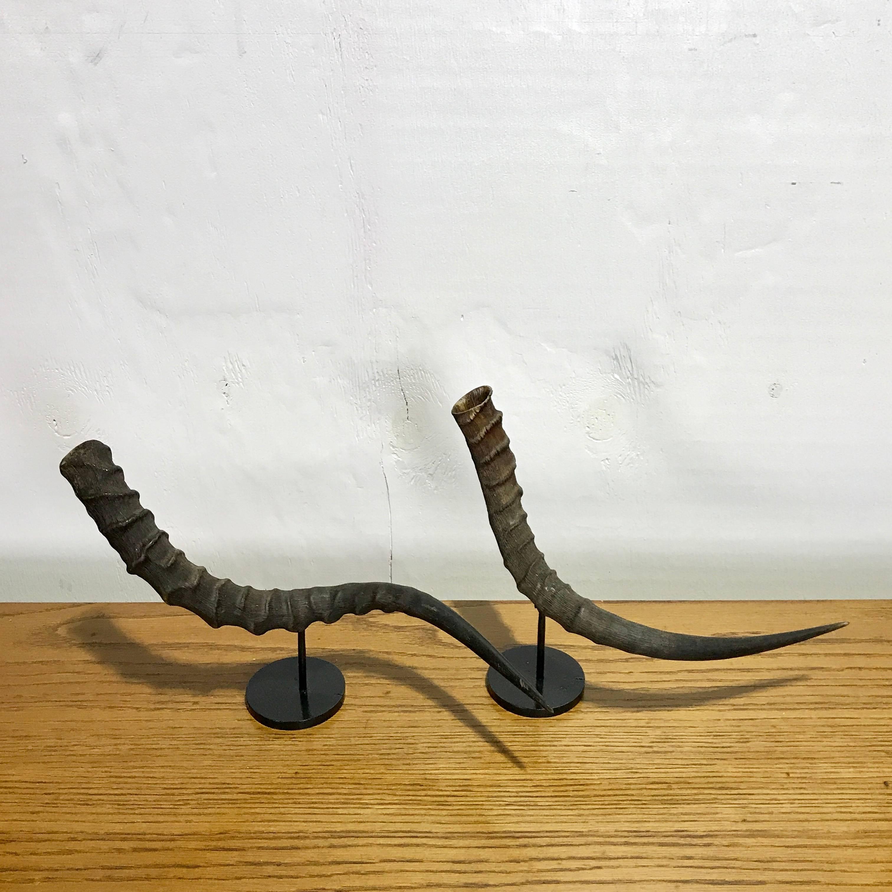 Pair of Midcentury Natural Horn Vases In Good Condition In West Palm Beach, FL