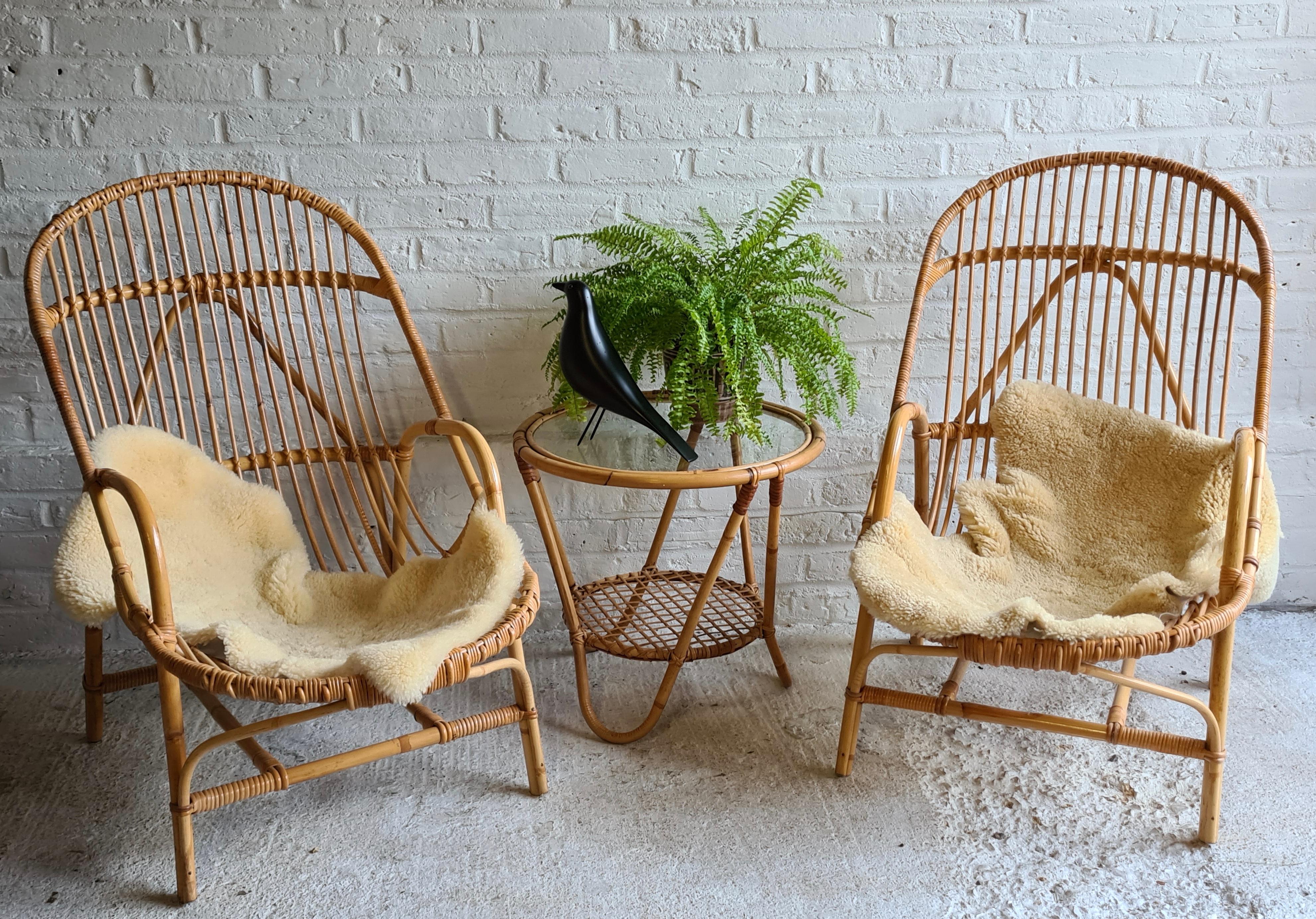 angraves cane furniture