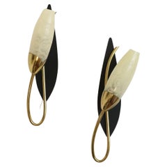 Pair of Mid-Century Wall Sconces attributed to Arlus, 1950s Era Mouille Guariche