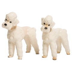 Pareja de esculturas de perros caniche blancos de mediados de siglo, Italia, años 60