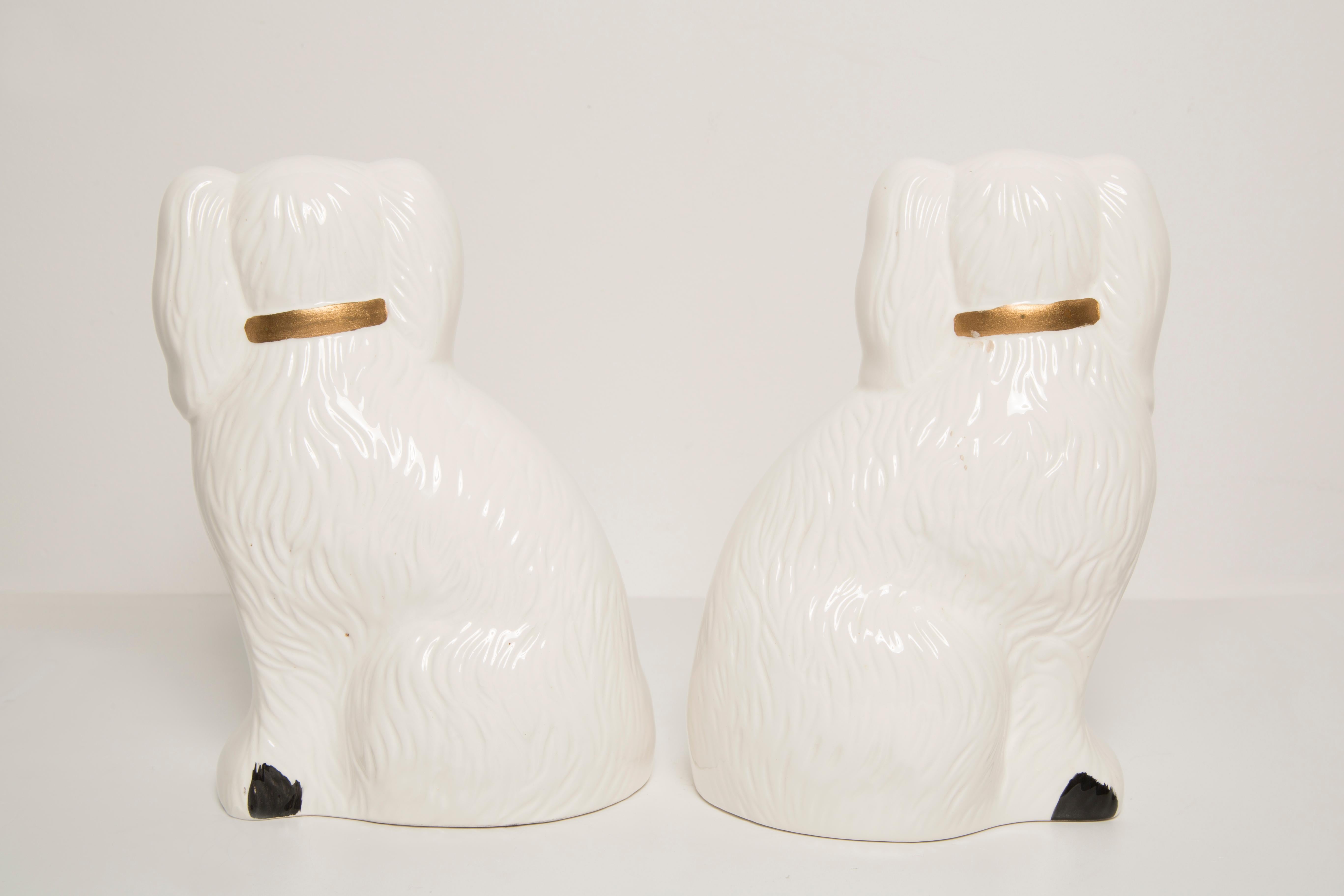 20th Century Pair of Mid Century White Spaniel Dogs Sculpture Staffordshire England, 1960s For Sale