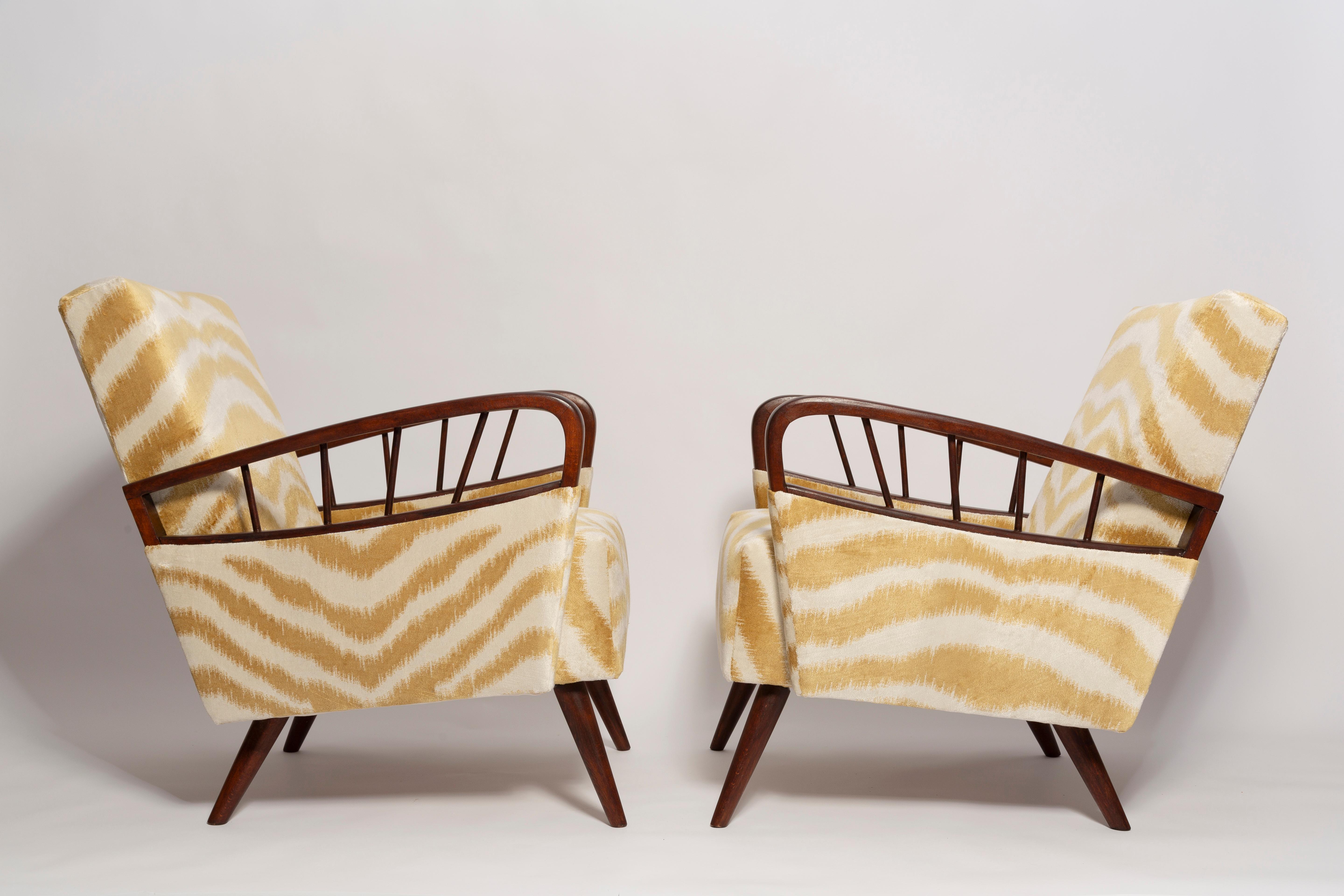 Mid-Century Modern Pair of Mid Century Zebra Tiger Velvet Armchairs, Europe, 1960s For Sale