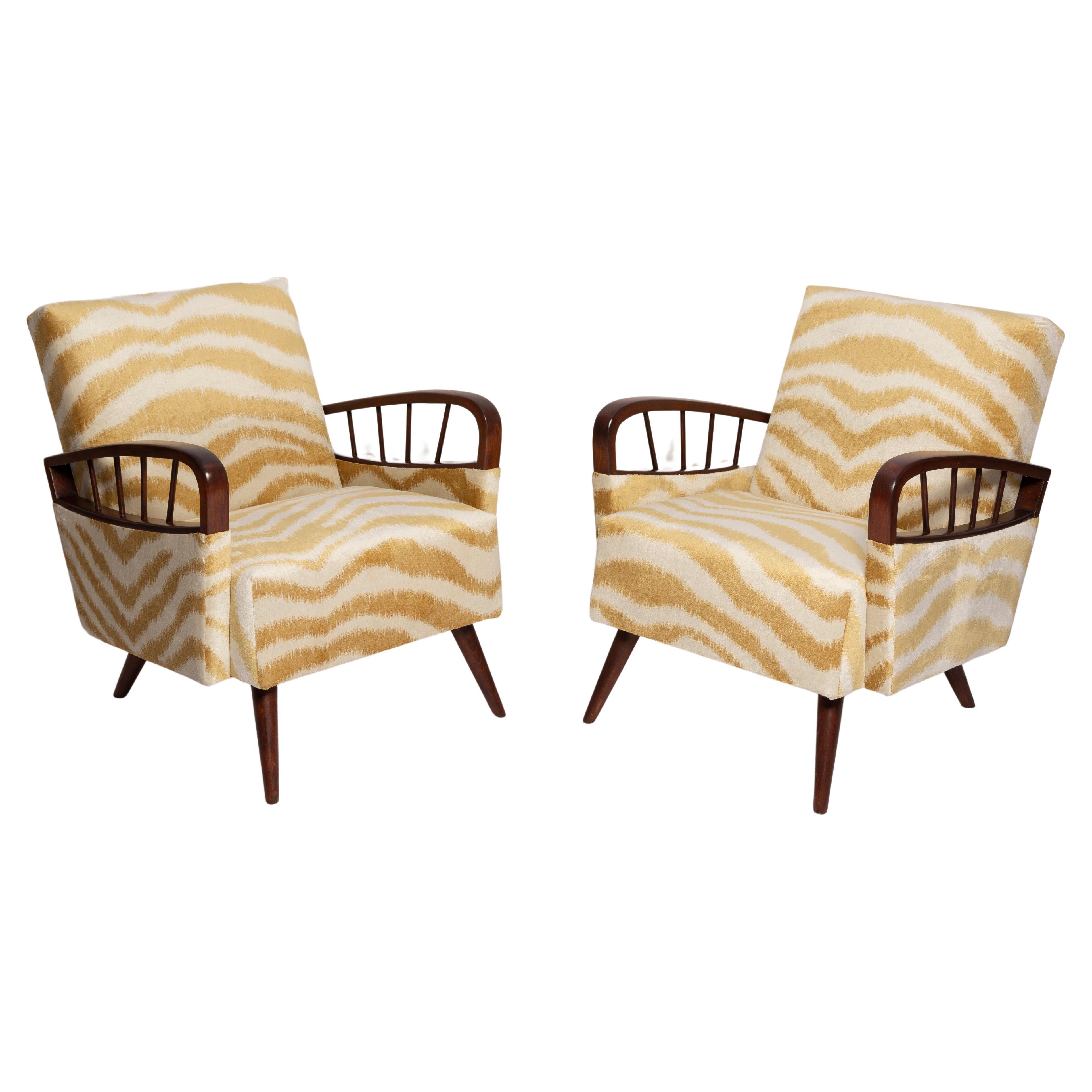 Pair of Mid Century Zebra Tiger Velvet Armchairs, Europe, 1960s For Sale