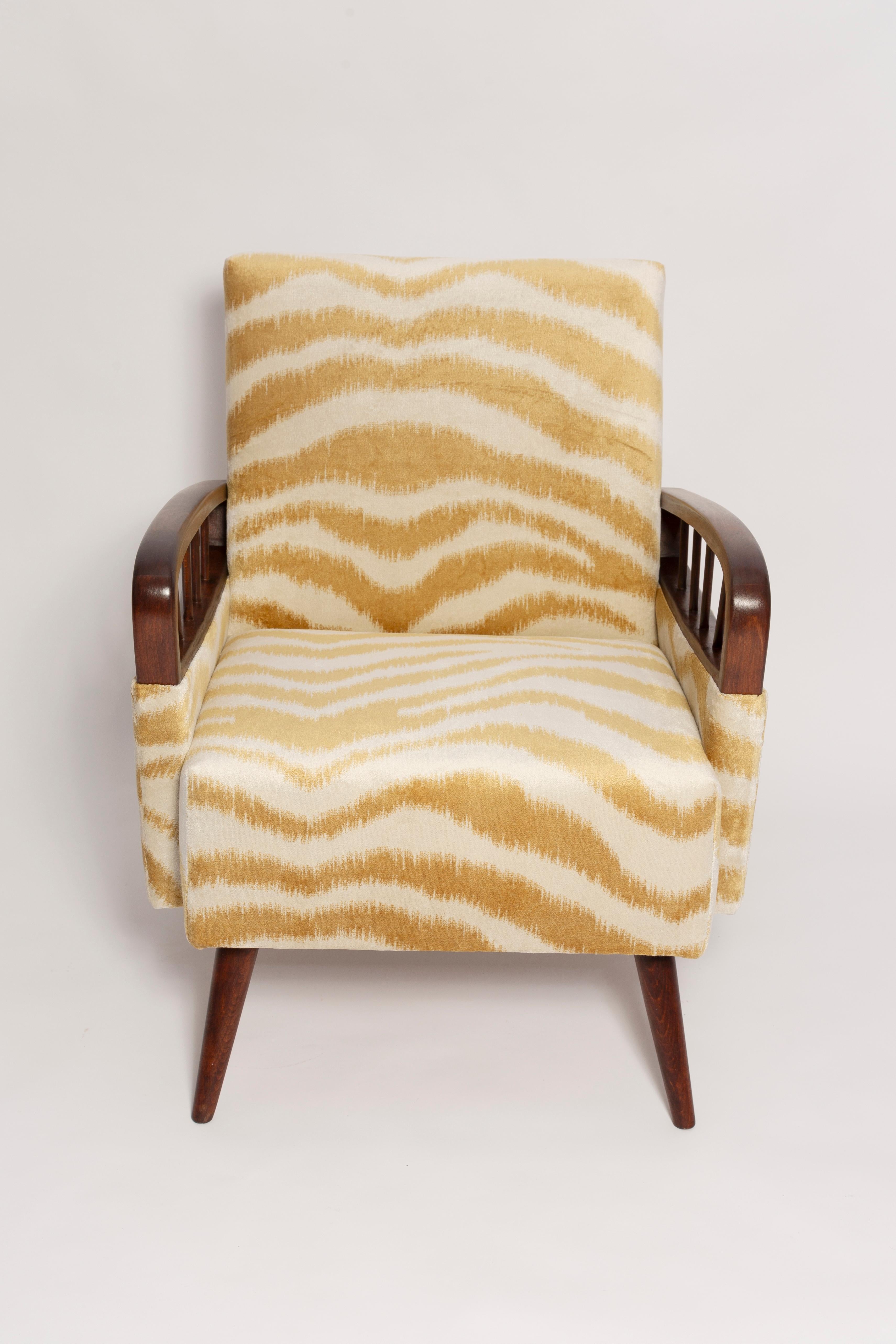 Pair of Mid Century Zebra Tiger Velvet Armchairs with Game Table, Europe, 1960s 4