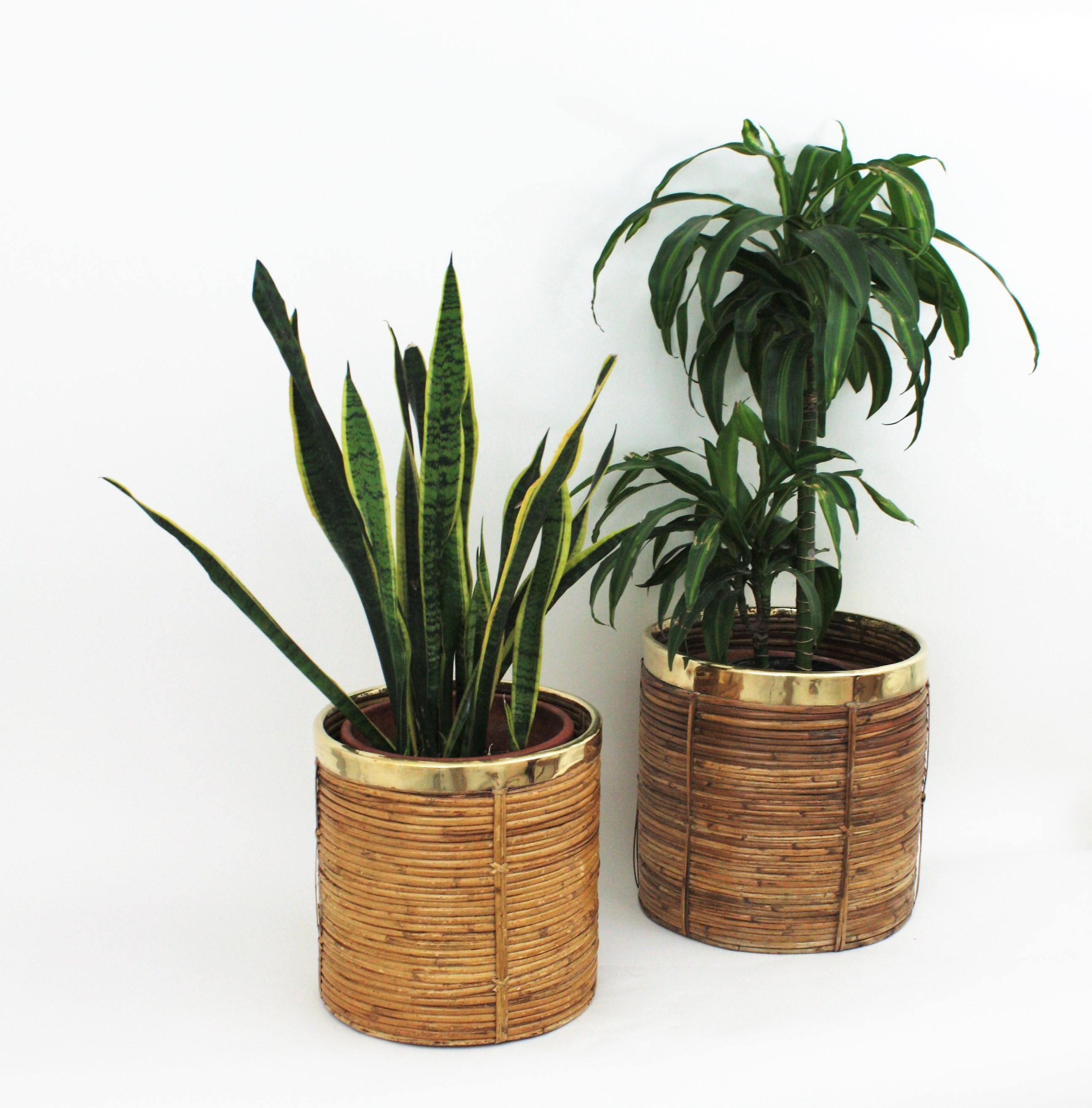 Pair of Midcentury Brass and Rattan Bamboo Round Planters or Baskets, 1970s 11