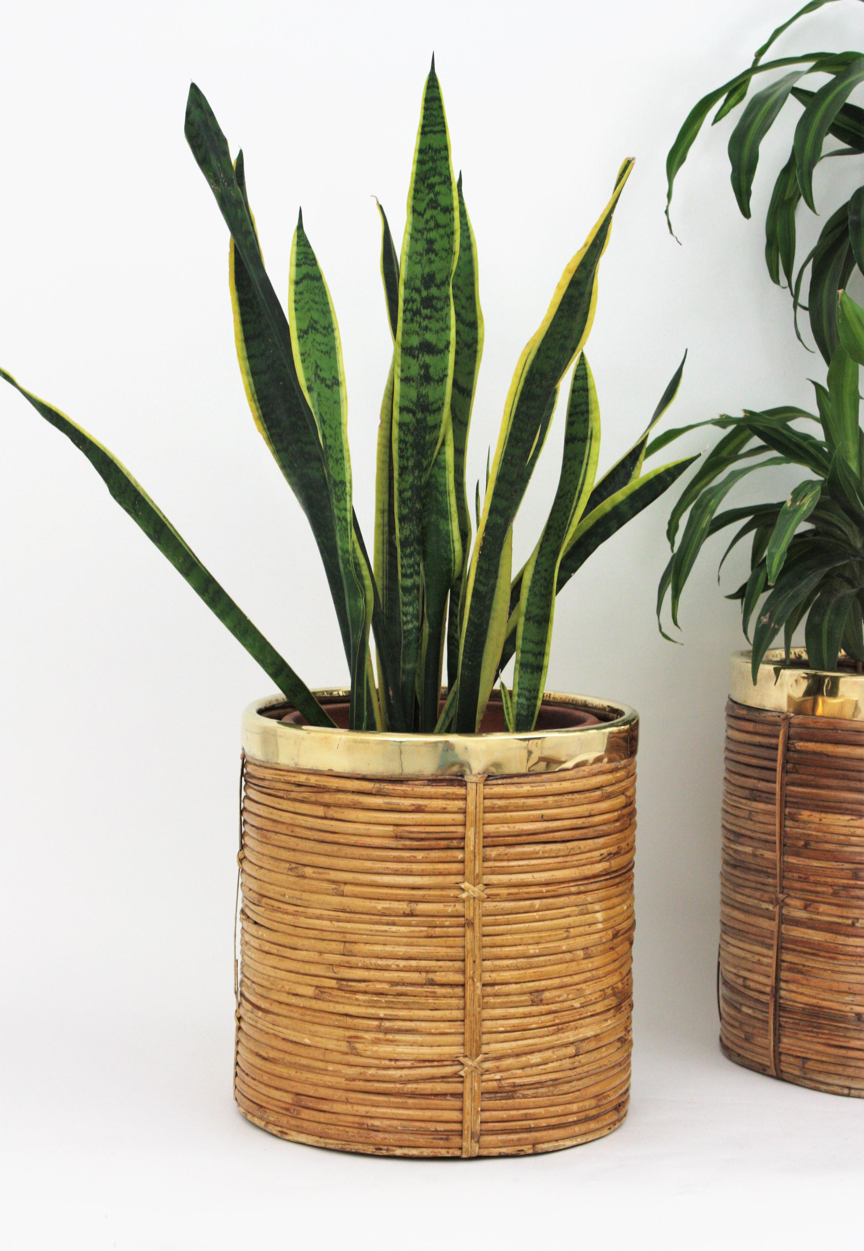 Mid-Century Modern Pair of Midcentury Brass and Rattan Bamboo Round Planters or Baskets, 1970s