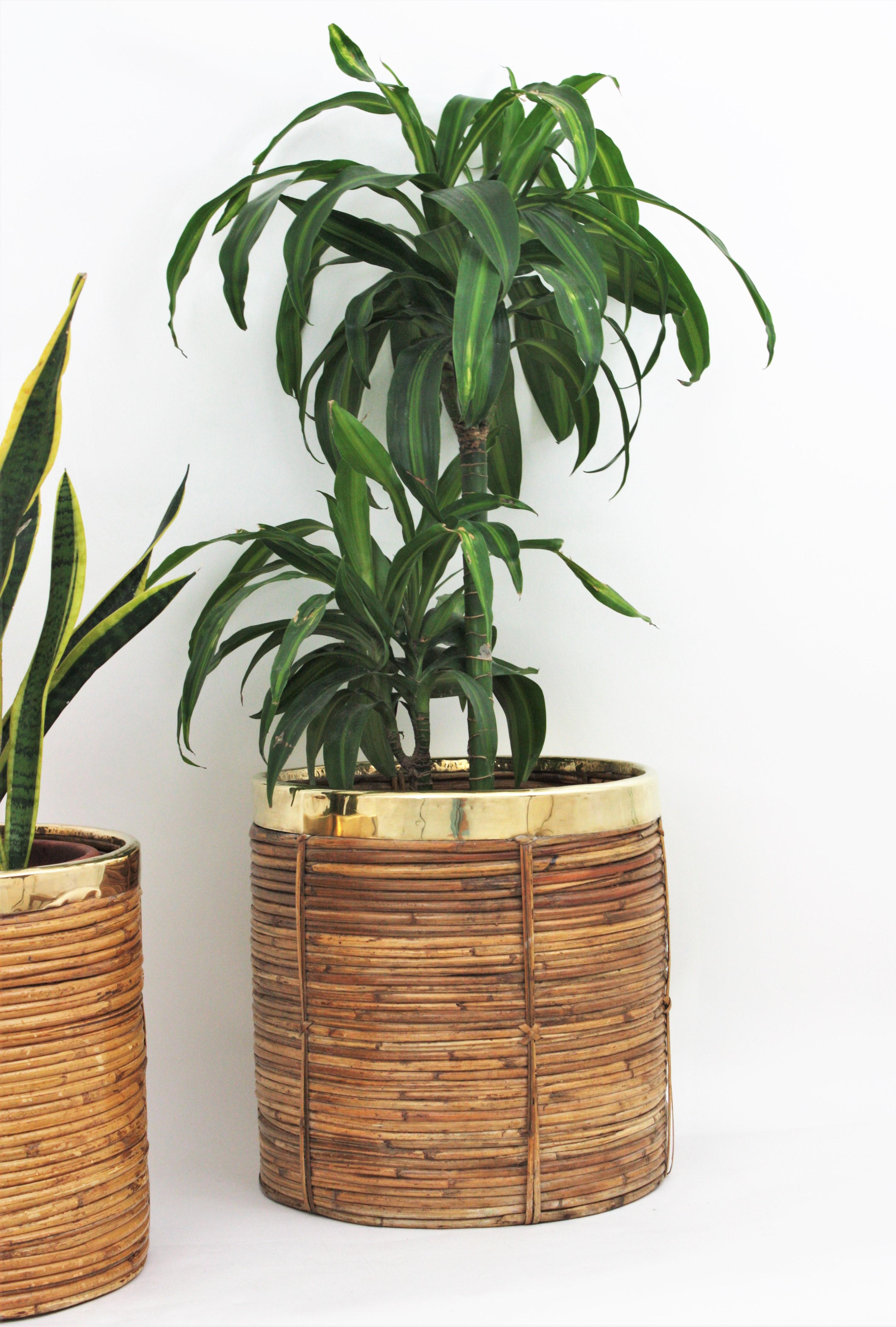 Italian Pair of Midcentury Brass and Rattan Bamboo Round Planters or Baskets, 1970s