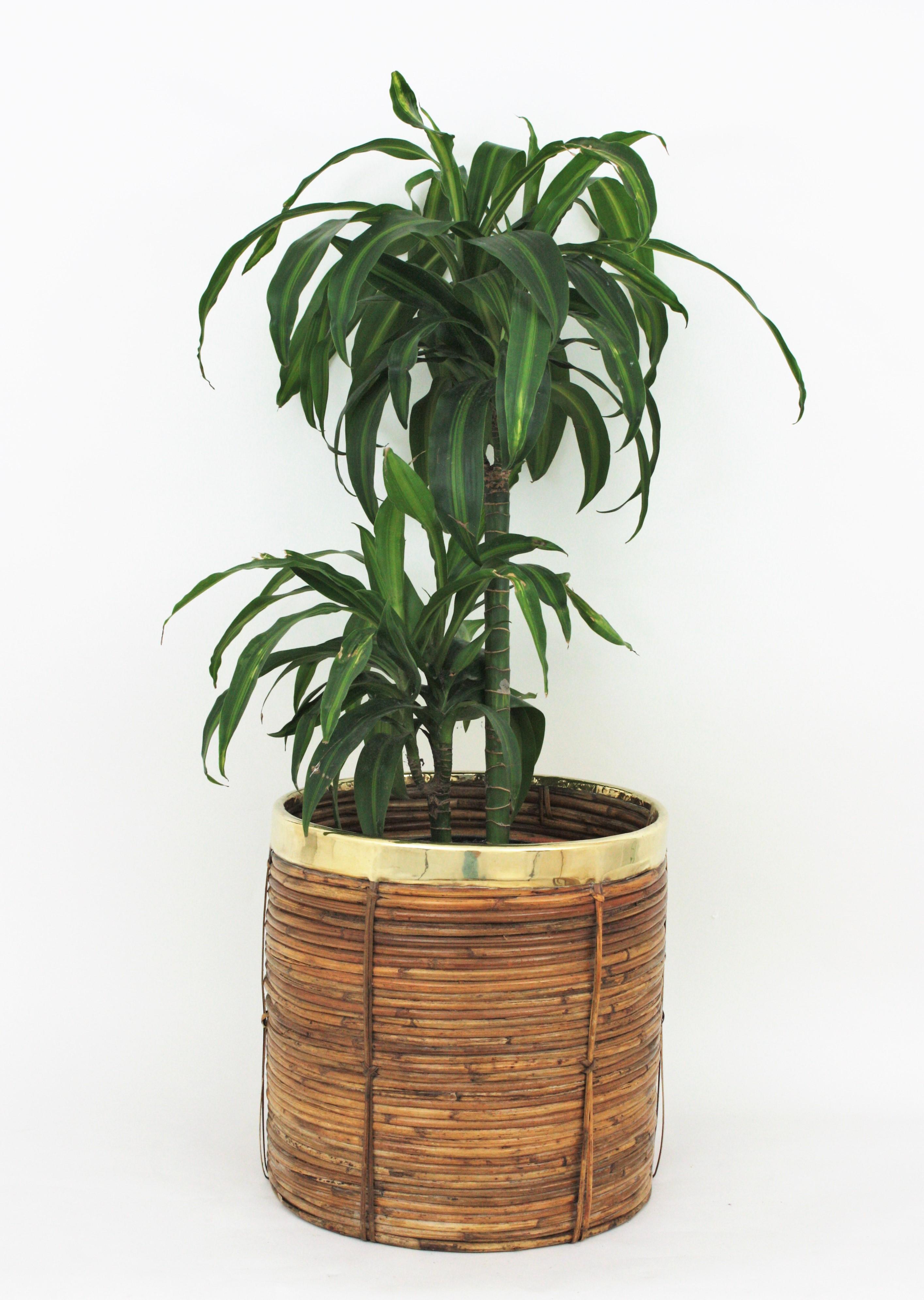 Pair of Midcentury Brass and Rattan Bamboo Round Planters or Baskets, 1970s In Good Condition In Barcelona, ES