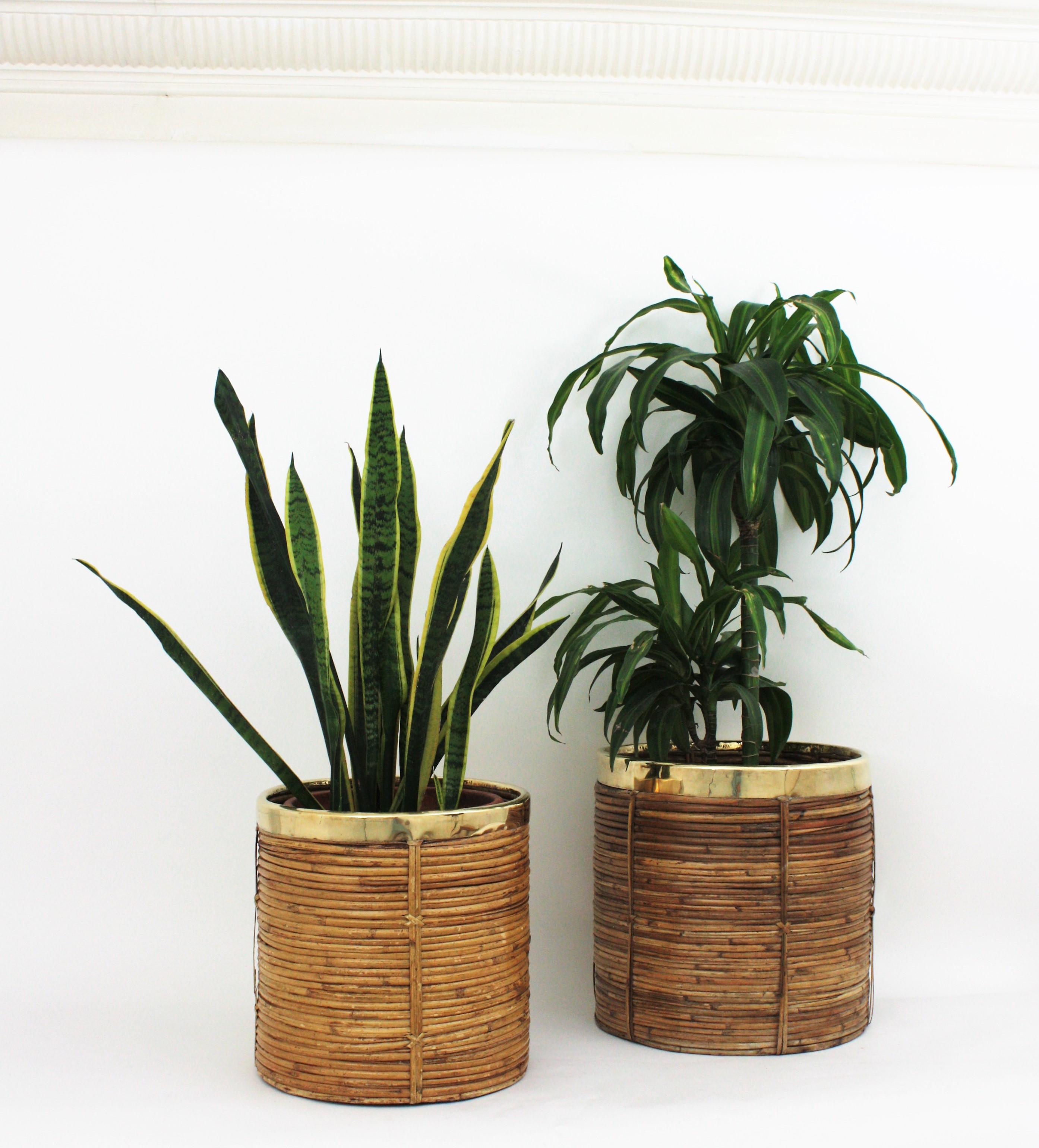 20th Century Pair of Midcentury Brass and Rattan Bamboo Round Planters or Baskets, 1970s