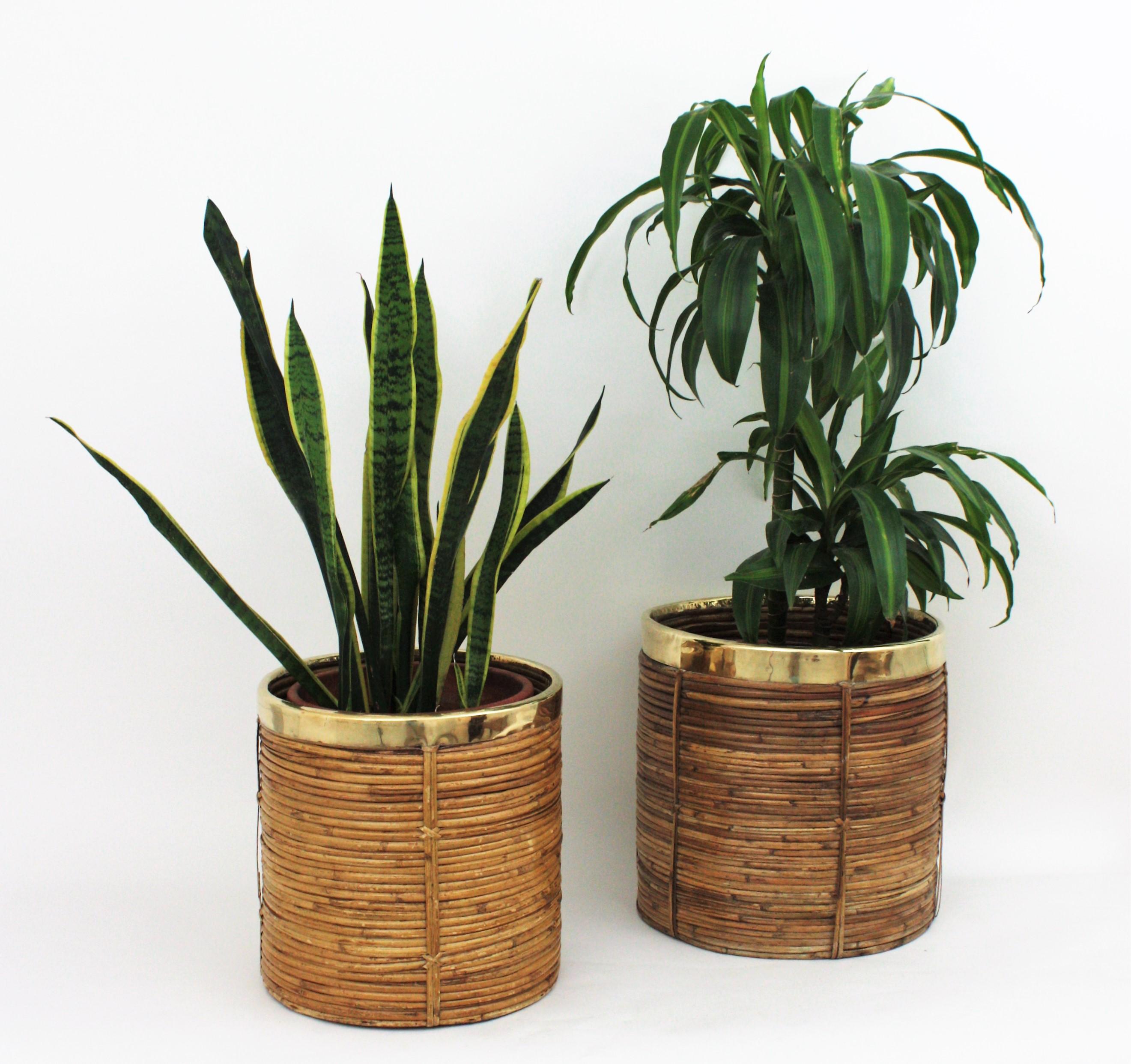 Pair of Midcentury Brass and Rattan Bamboo Round Planters or Baskets, 1970s 3