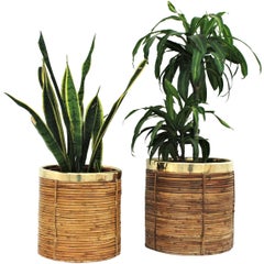 Pair of Midcentury Brass and Rattan Bamboo Round Planters or Baskets, 1970s