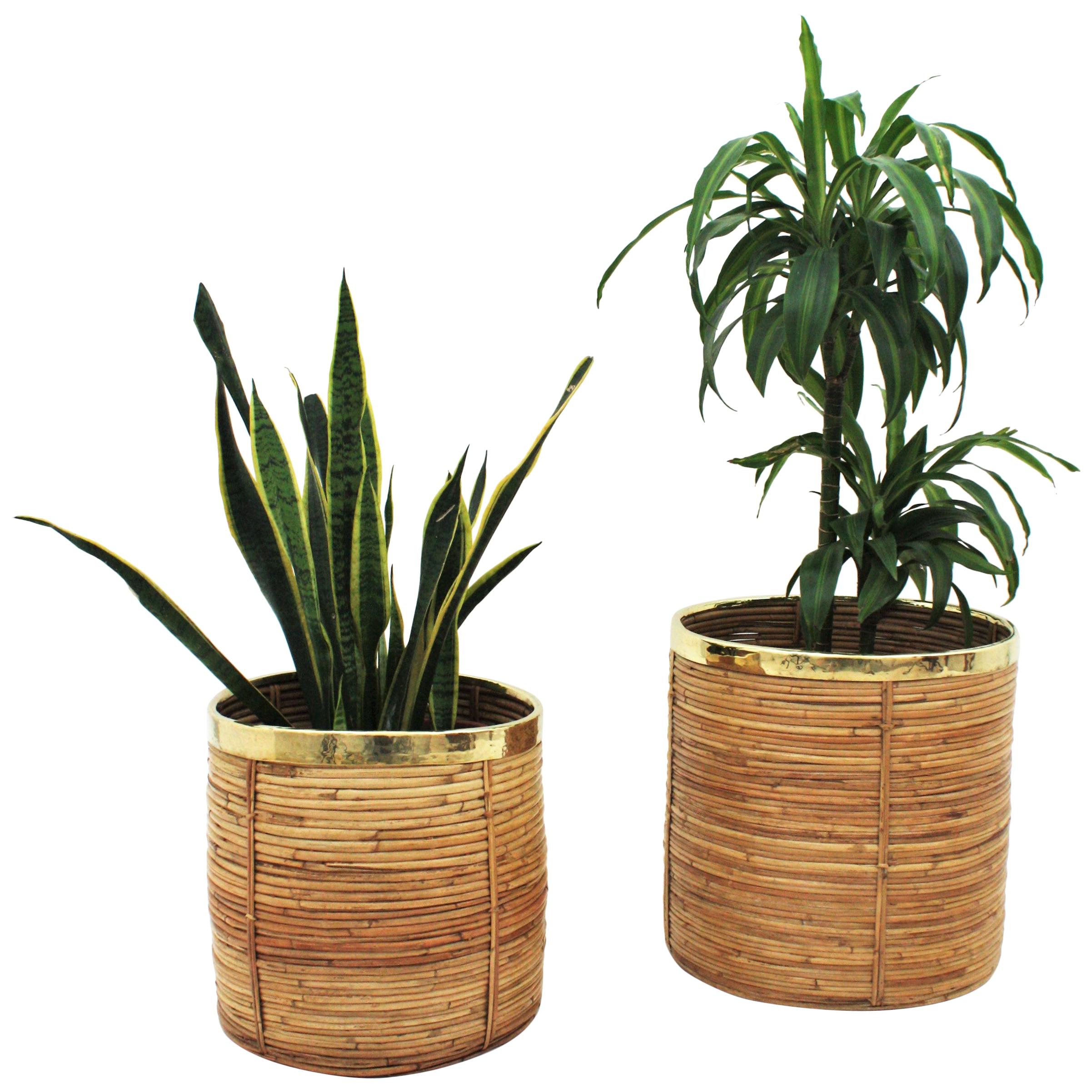 Pair of Painted Metal Flower Baskets For Sale at 1stDibs