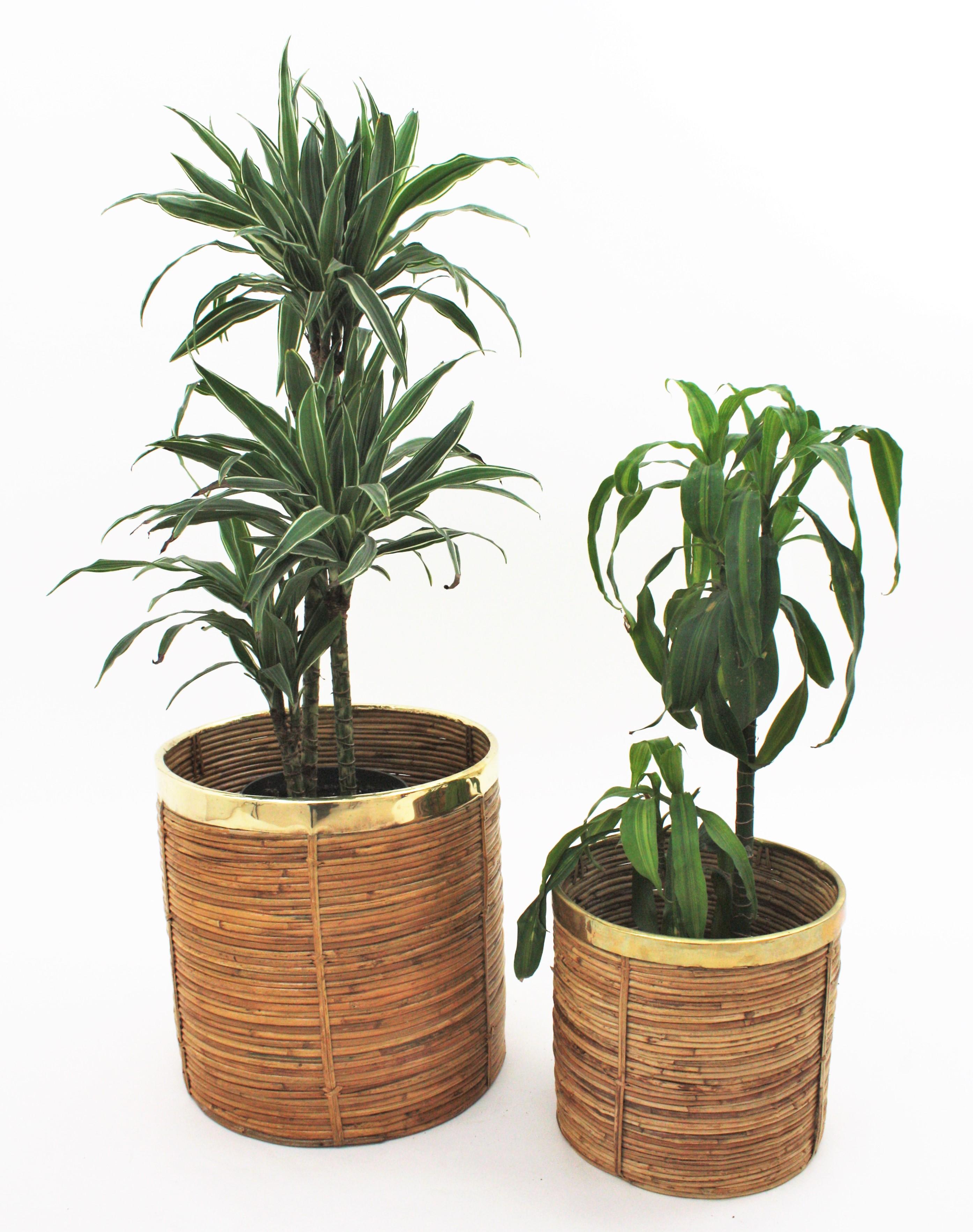 Paar runde Pflanzgefäße oder Körbe aus Messing und Rattan-Bambus aus der Mitte des Jahrhunderts, 1970er Jahre (Moderne der Mitte des Jahrhunderts) im Angebot