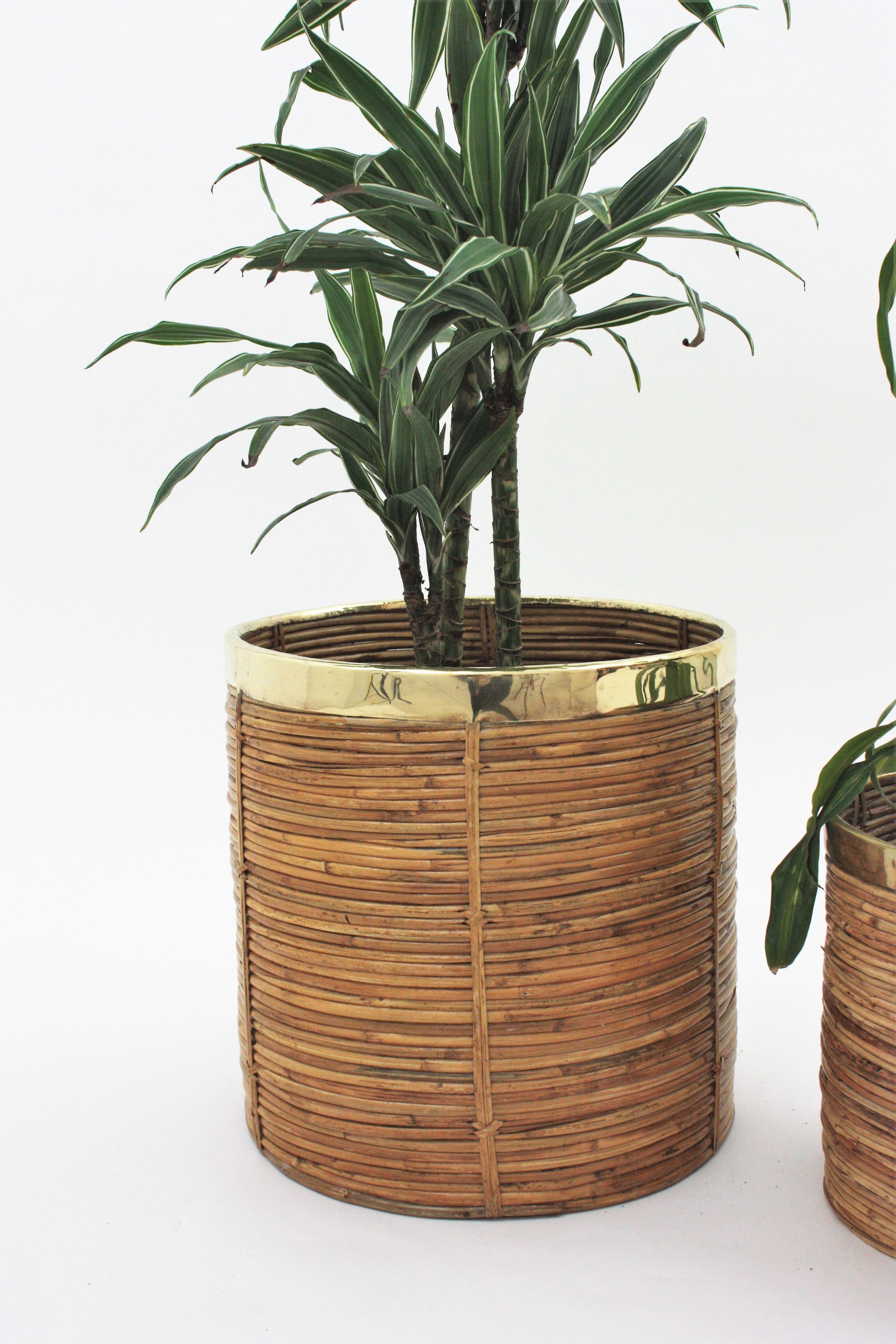 Italian Pair of Mid-Century Brass & Rattan Bamboo Round Planters or Baskets, 1970s For Sale