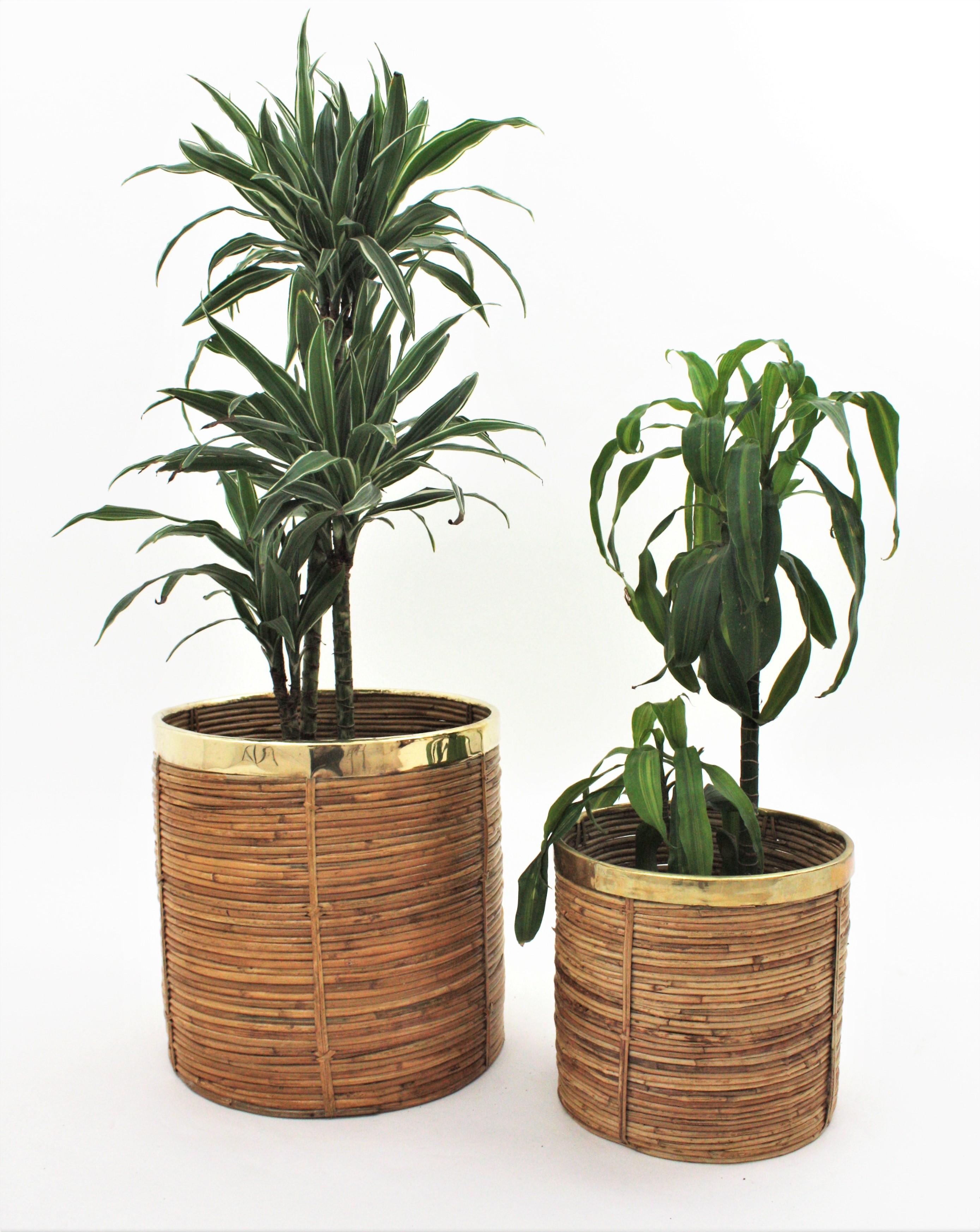 20th Century Pair of Mid-Century Brass & Rattan Bamboo Round Planters or Baskets, 1970s For Sale