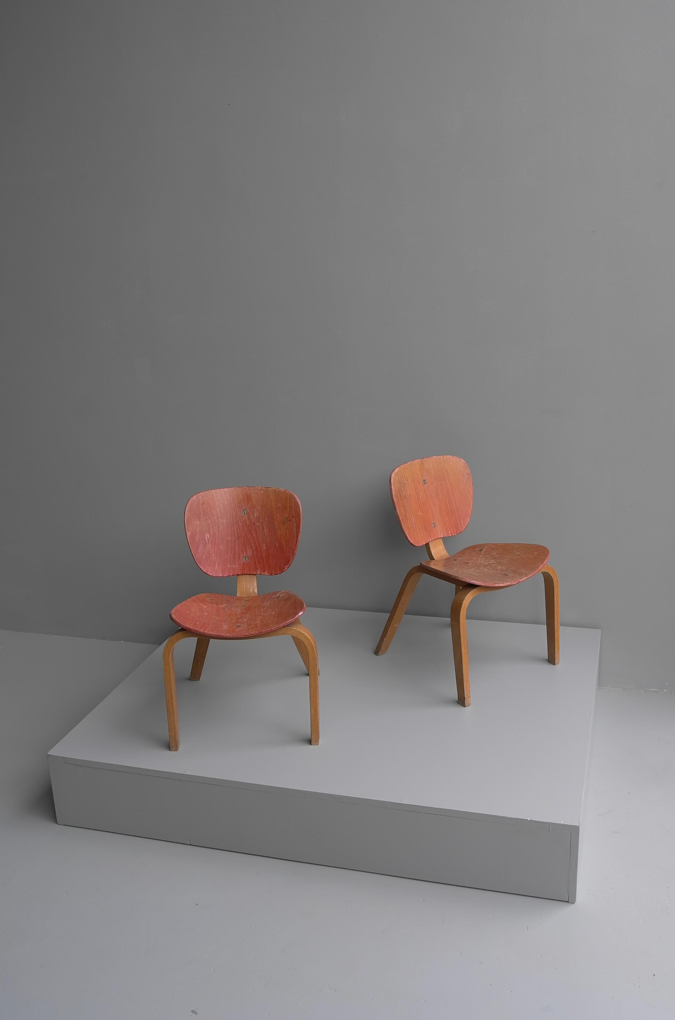 Mid-Century Modern Pair of Midcentury Children Chairs in Bent Plywood, Germany, 1950s For Sale