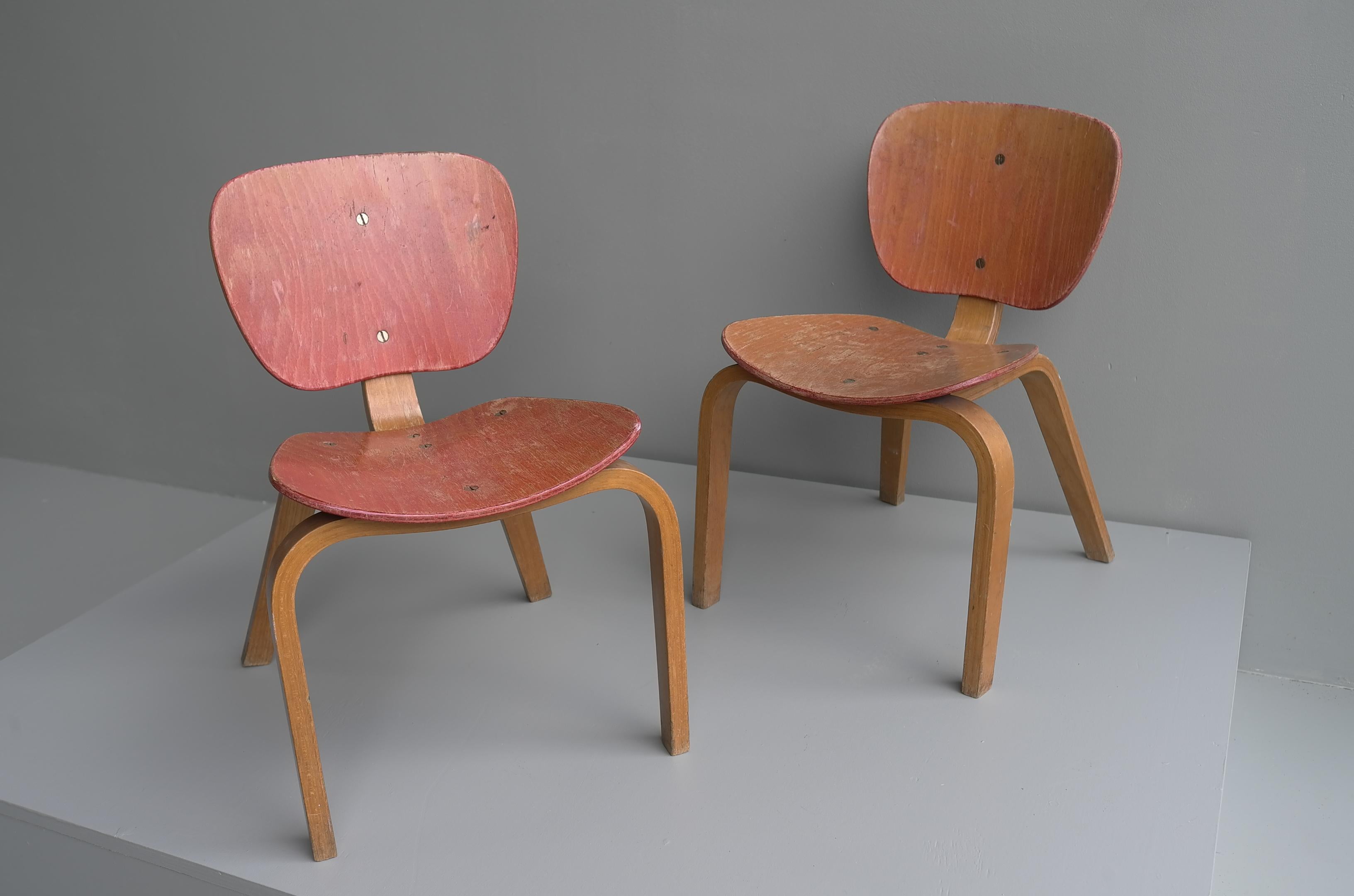 Lacquered Pair of Midcentury Children Chairs in Bent Plywood, Germany, 1950s For Sale