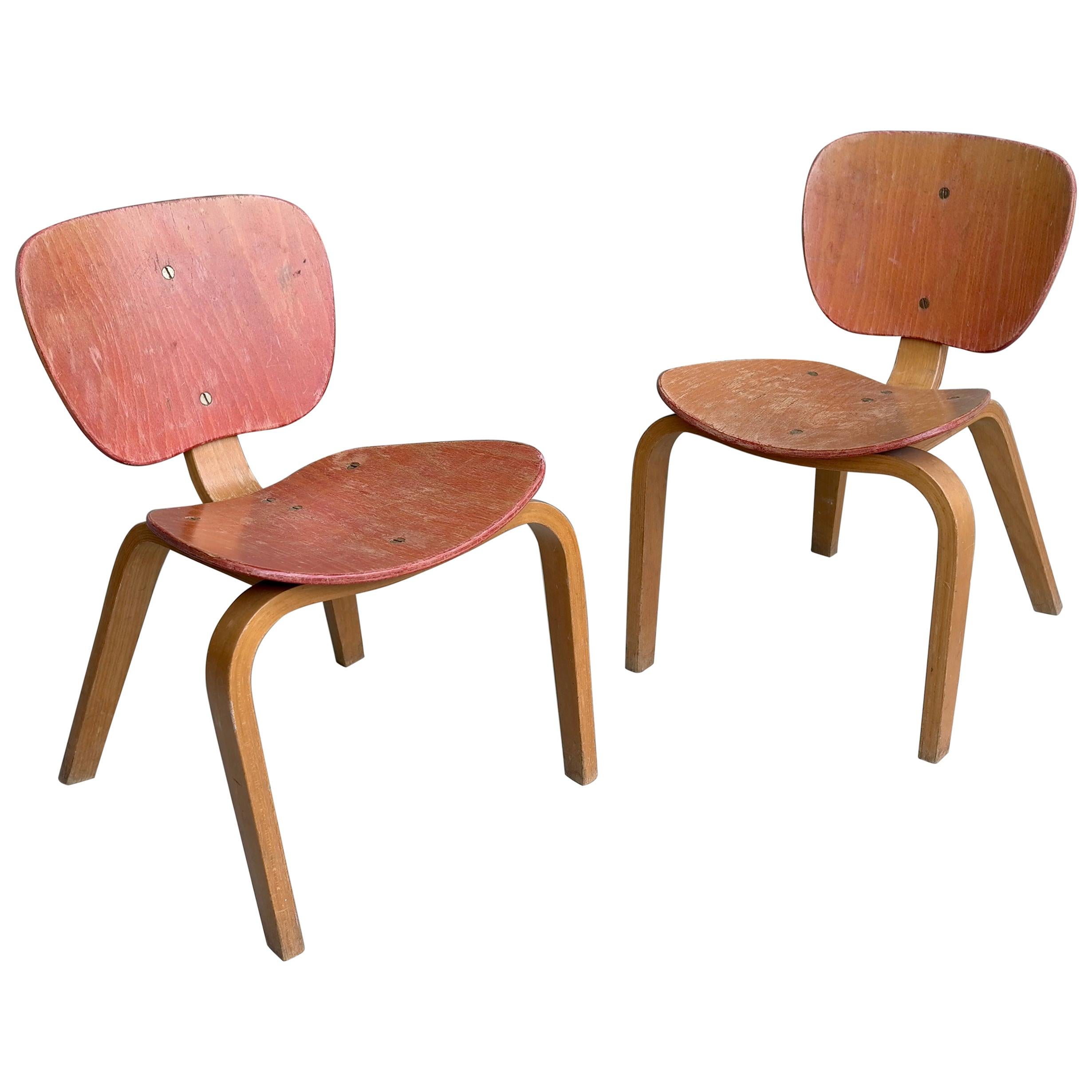 Pair of Midcentury Children Chairs in Bent Plywood, Germany, 1950s For Sale