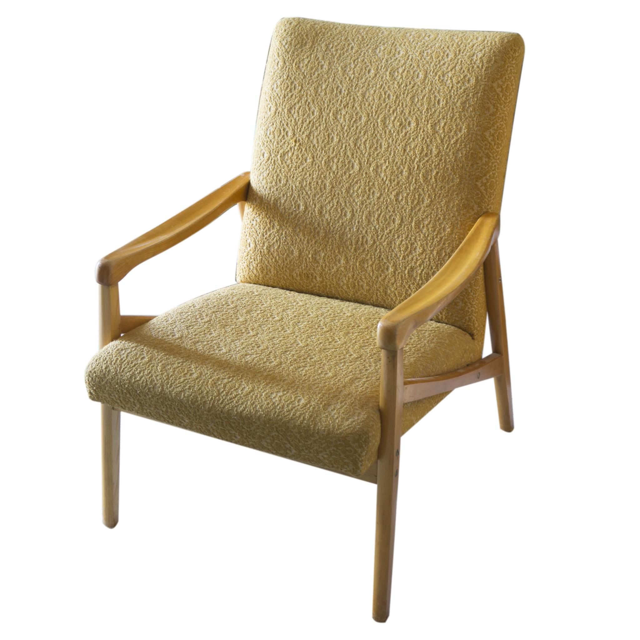 Mid-Century Modern Pair of Midcentury Eastern Block Armchairs by Jiri Jiroutek for Interier Praha