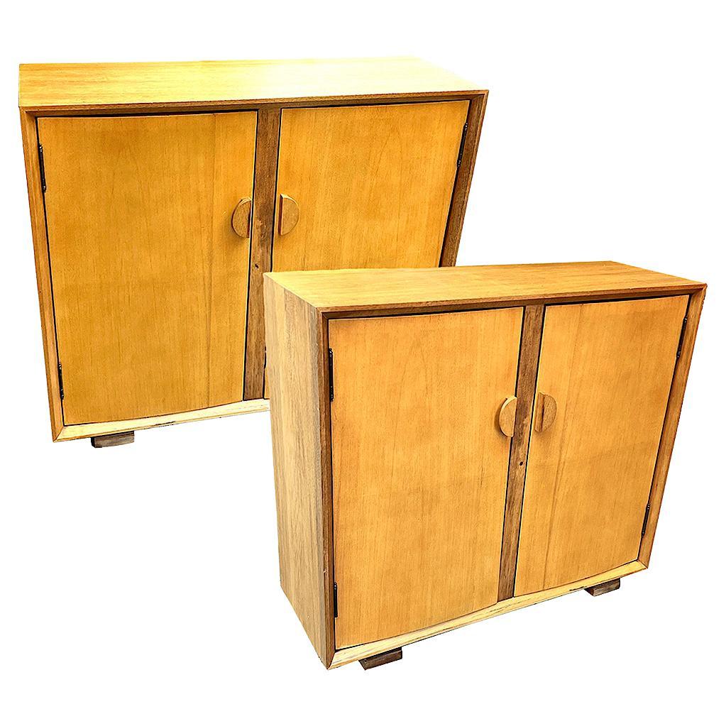 Pair of Midcentury French Cabinets For Sale