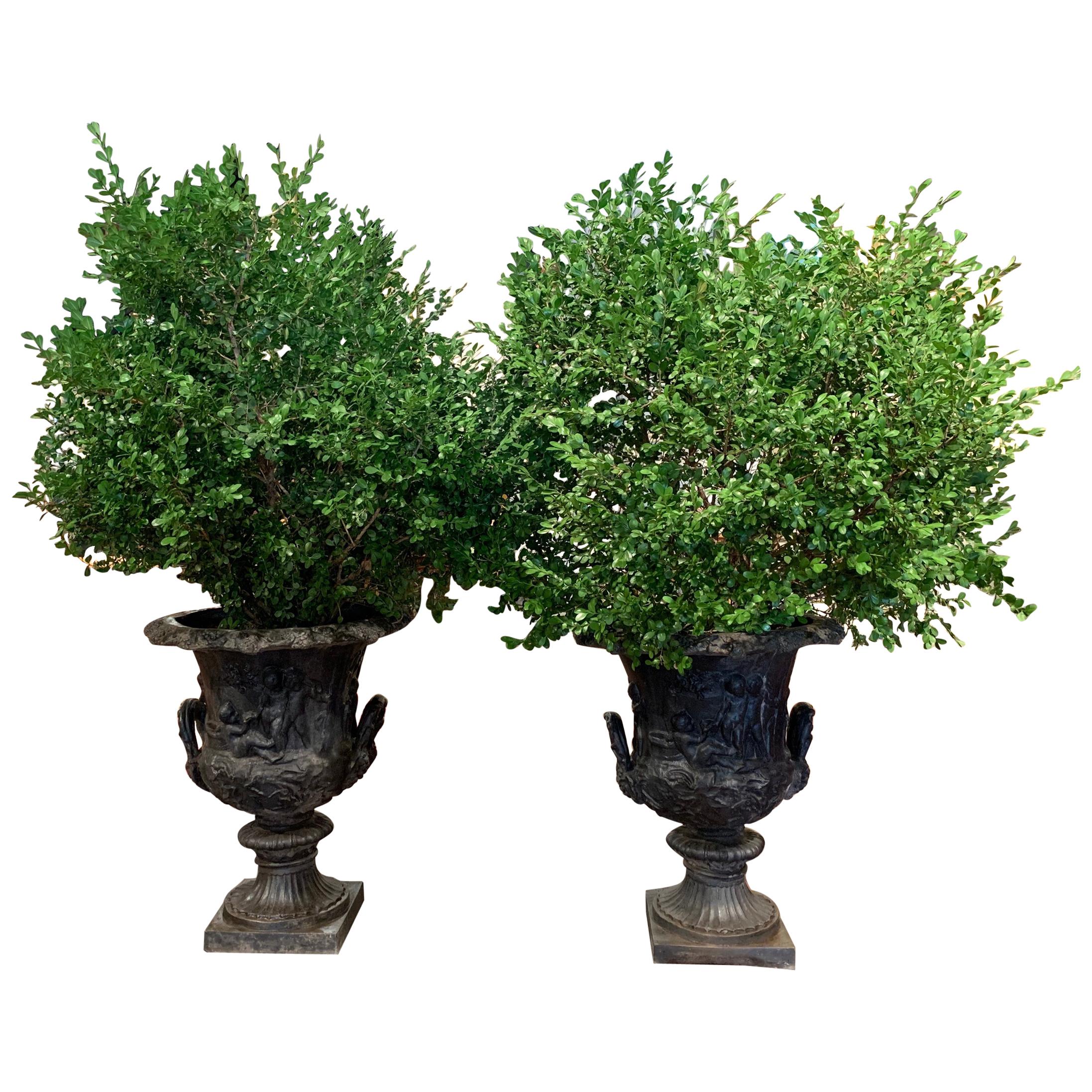 Pair of Midcentury French Carved Lead Outdoor Medicis Planters For Sale