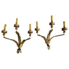 Pair of Midcentury Large Three Arms Wrought Gold Iron Spanish Sconces