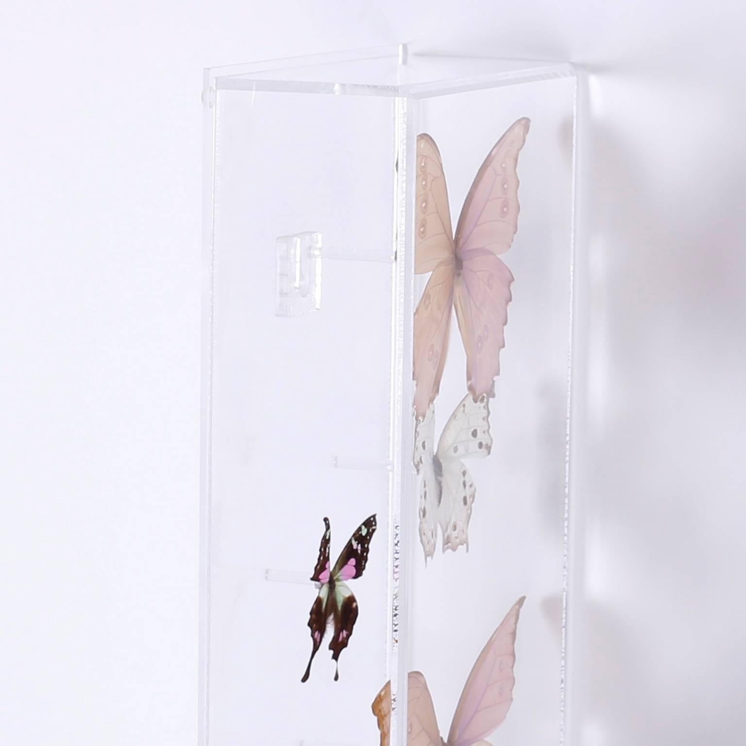 Pair of Midcentury Lucite Butterfly Display Boxes 2